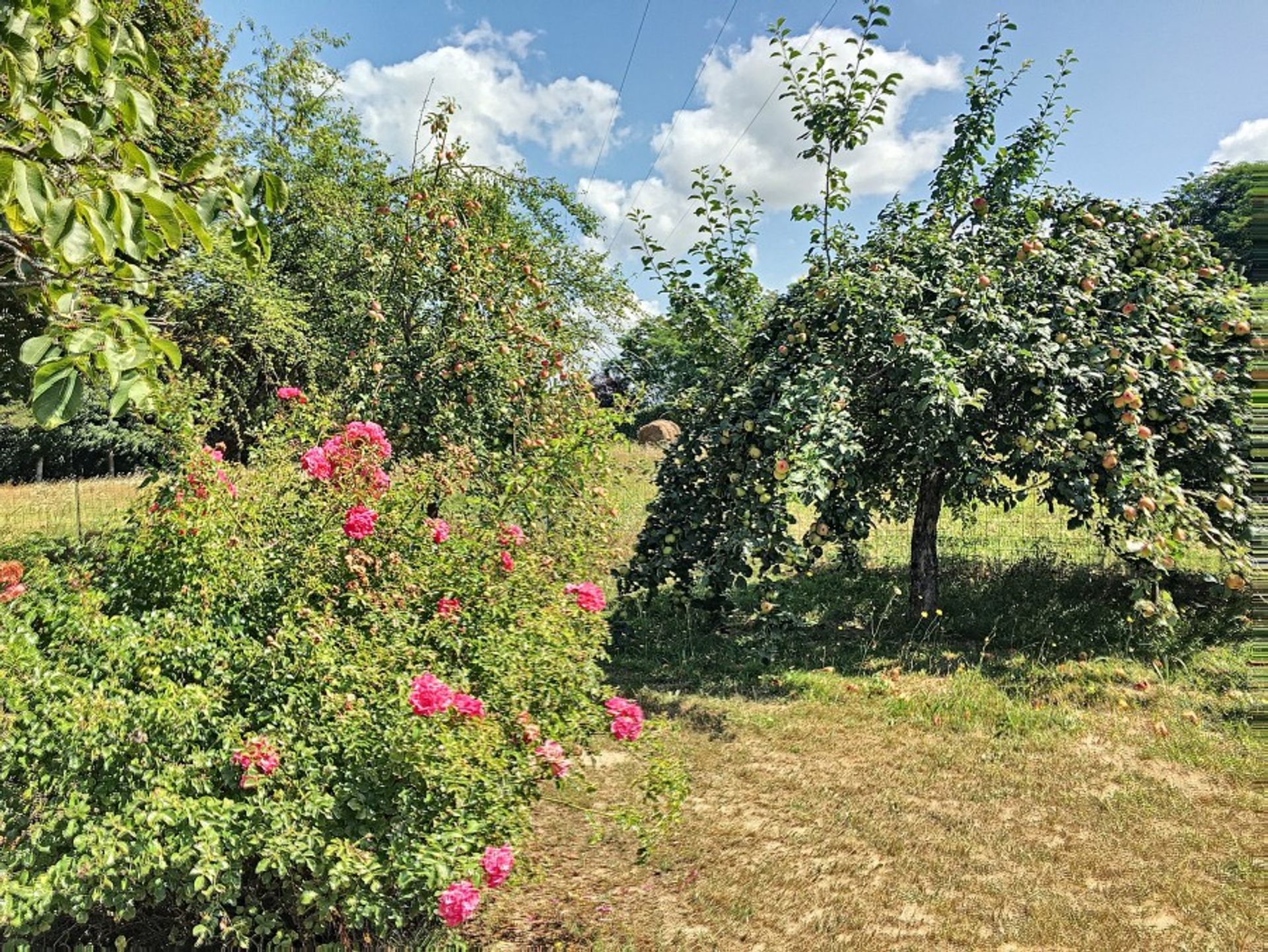 Haus im Lalinde, Aquitaine 10099927