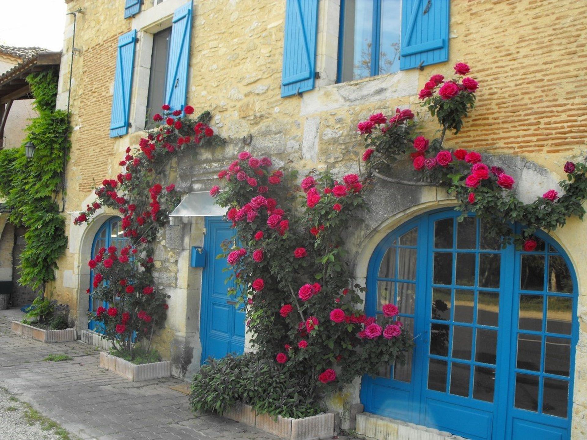 Hus i Puy-L'eveque, Midi-Pyrenees 10100054