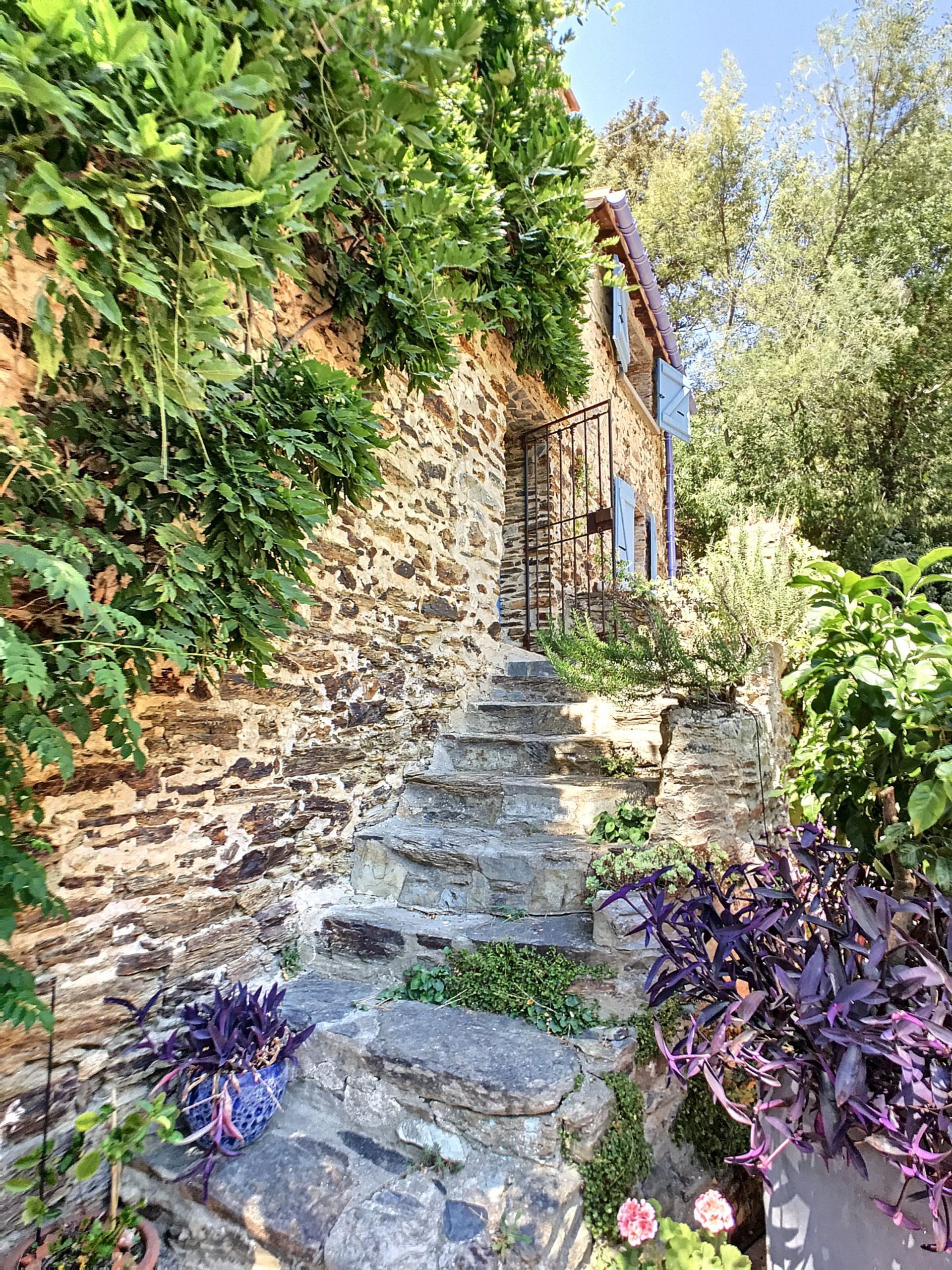 casa en Ille-Sur-Tet, Languedoc-Roussillon 10100448