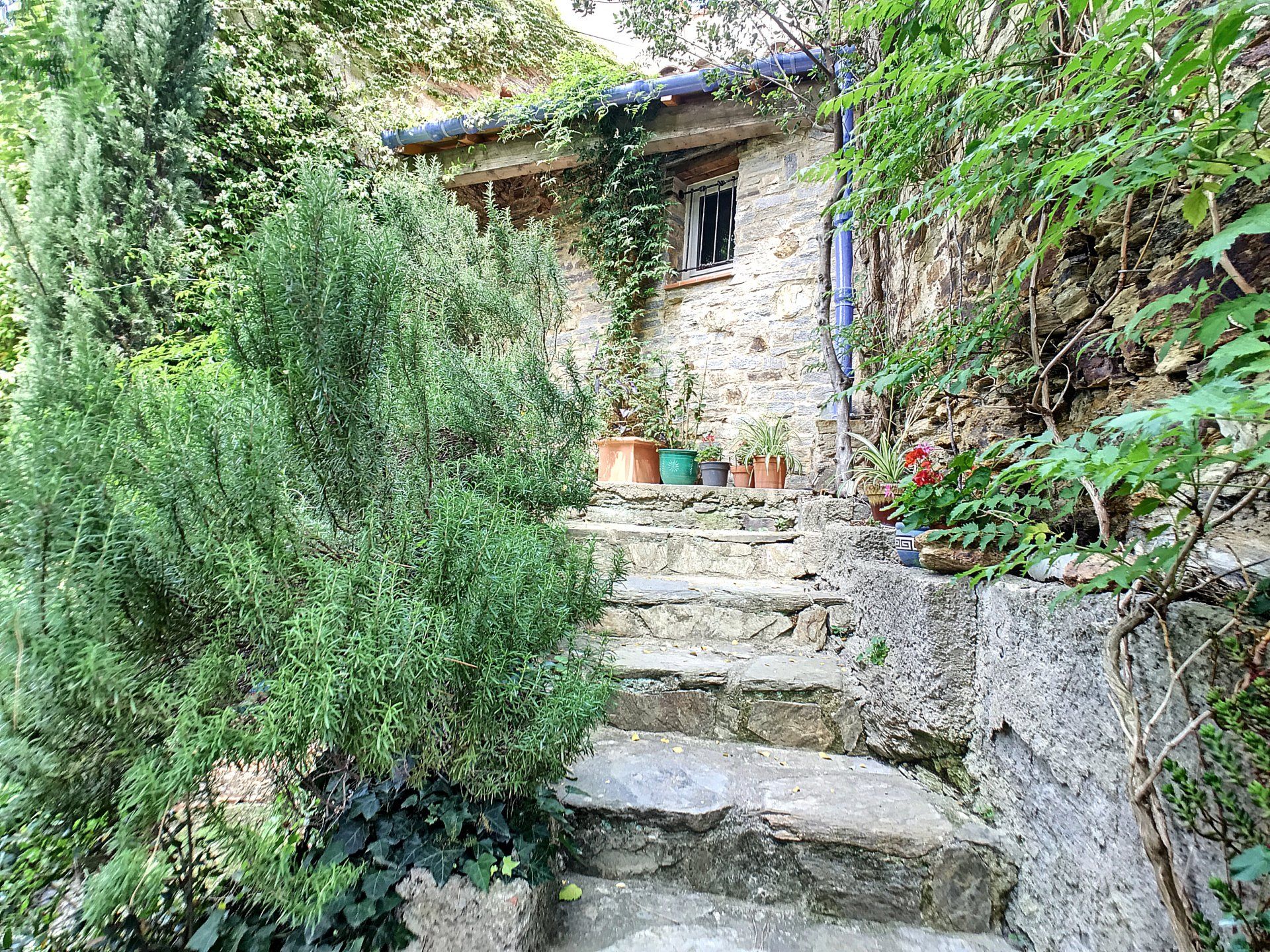 casa en Ille-Sur-Tet, Languedoc-Roussillon 10100448