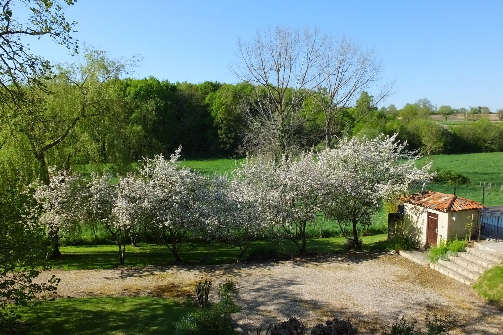 मकान में Chalais, Poitou-Charentes 10100464