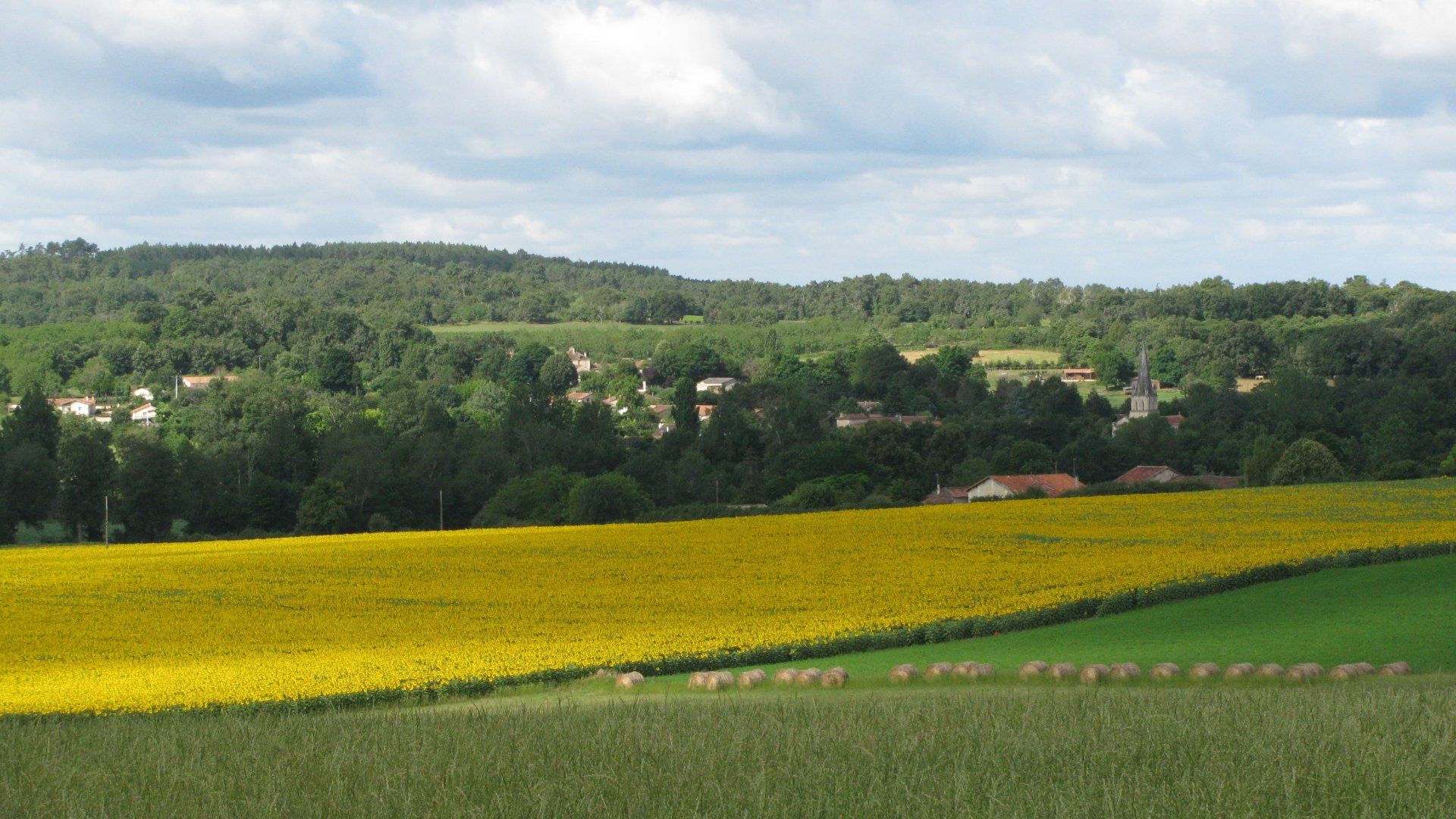 मकान में Chalais, Poitou-Charentes 10100464