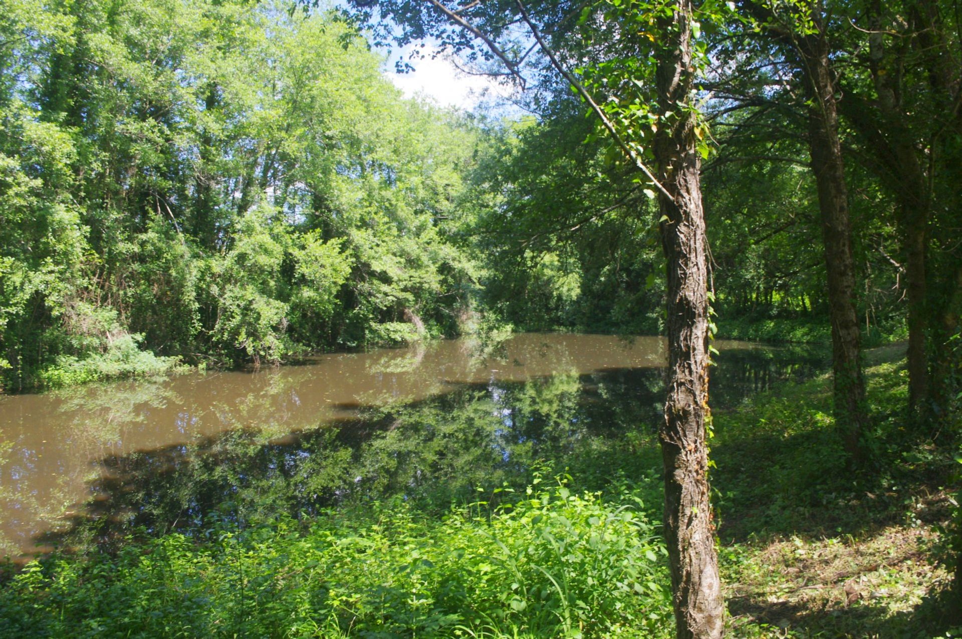 σπίτι σε Rioux-Martin, Nouvelle-Aquitaine 10100466