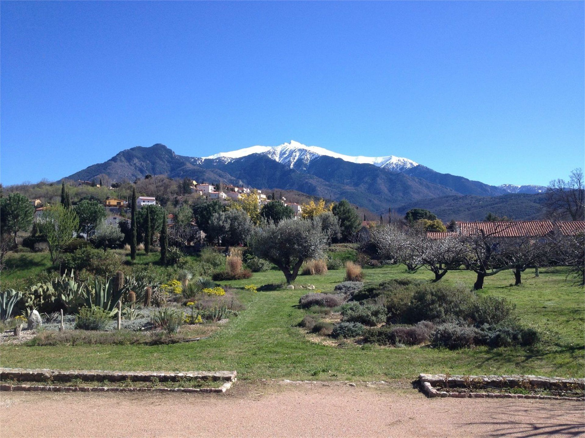 Andere in Prades, Languedoc-Roussillon 10100488