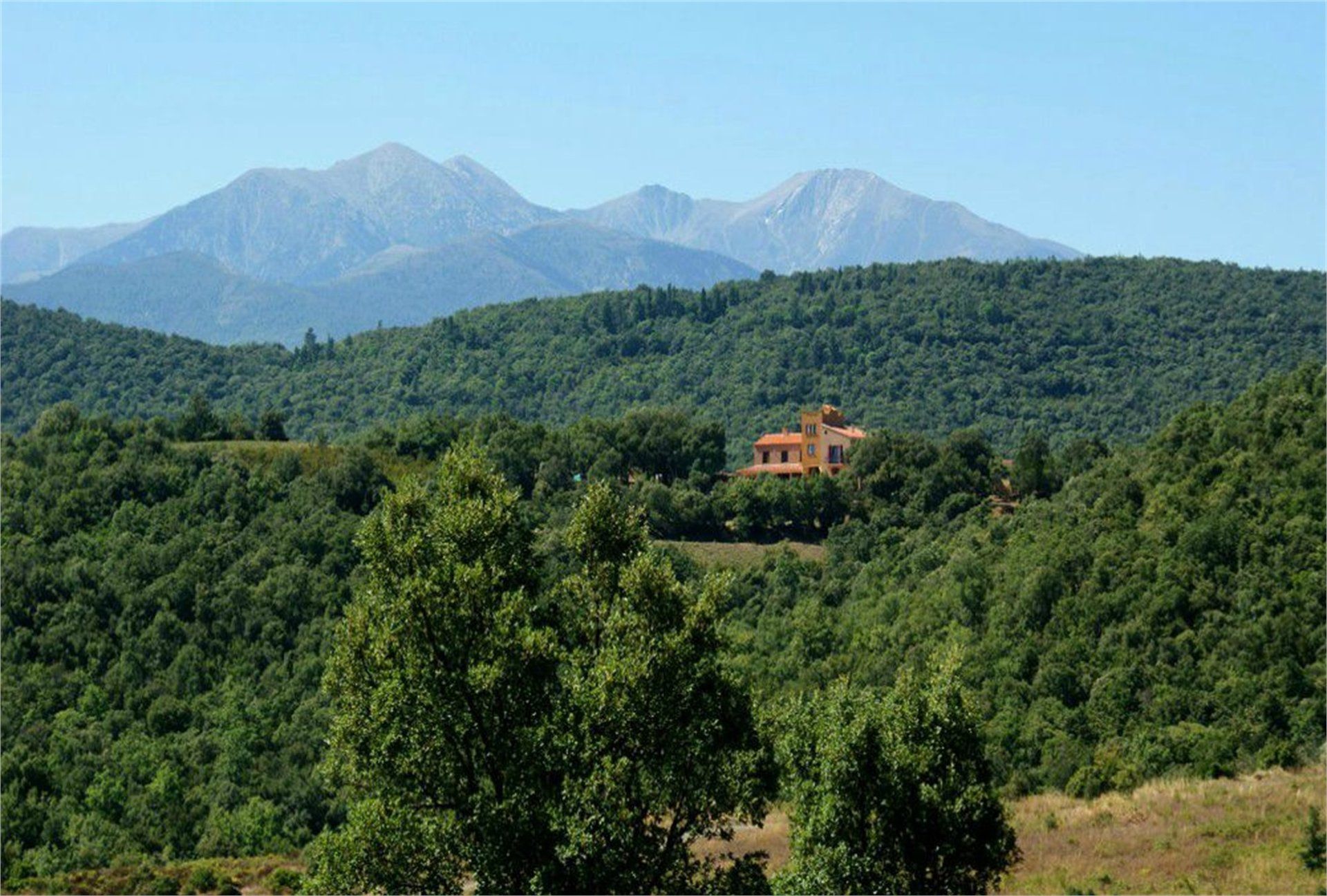 Annen i Ceret, Occitanie 10100544