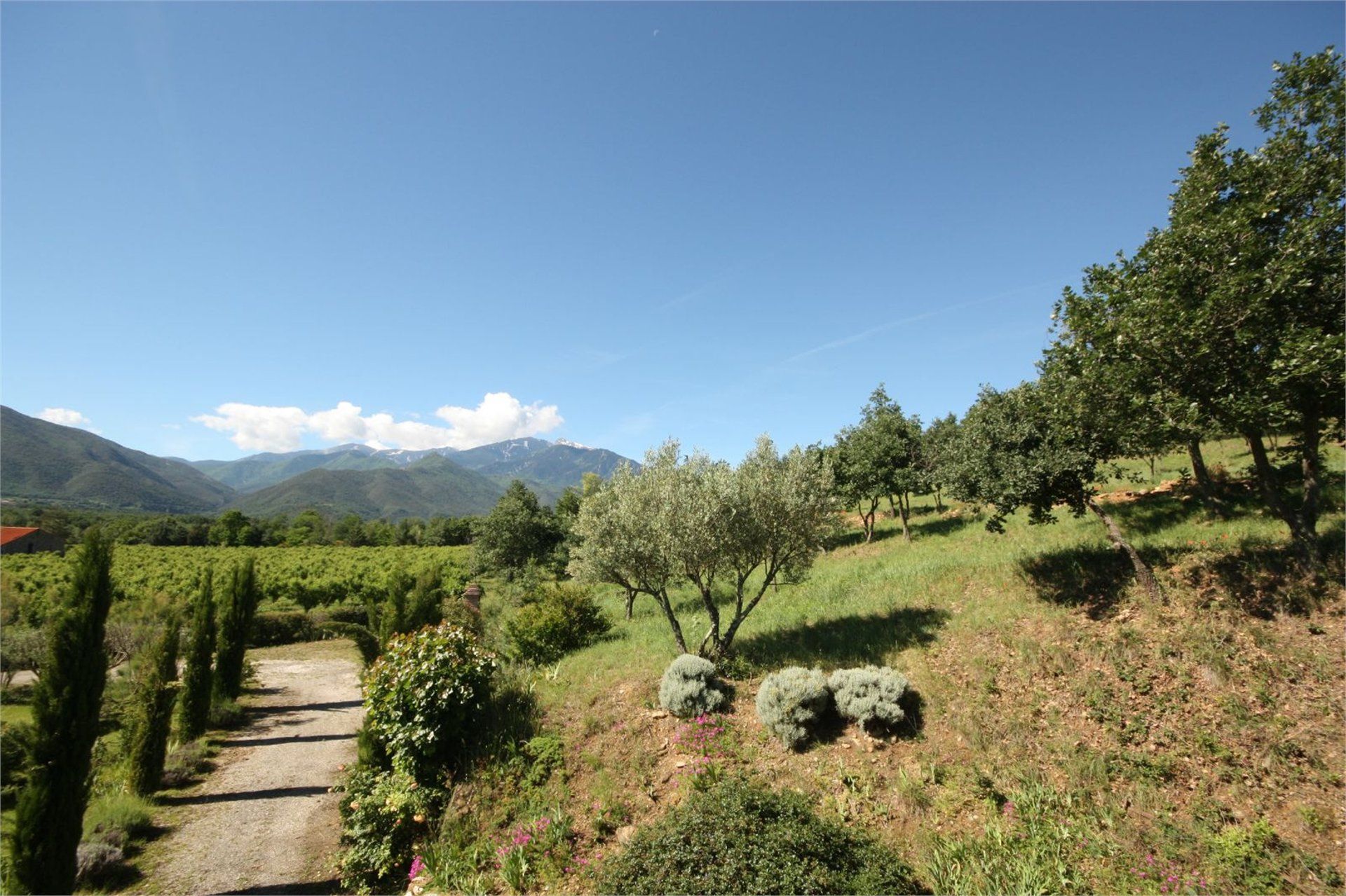 casa no Prades, Languedoc-Roussillon 10100548