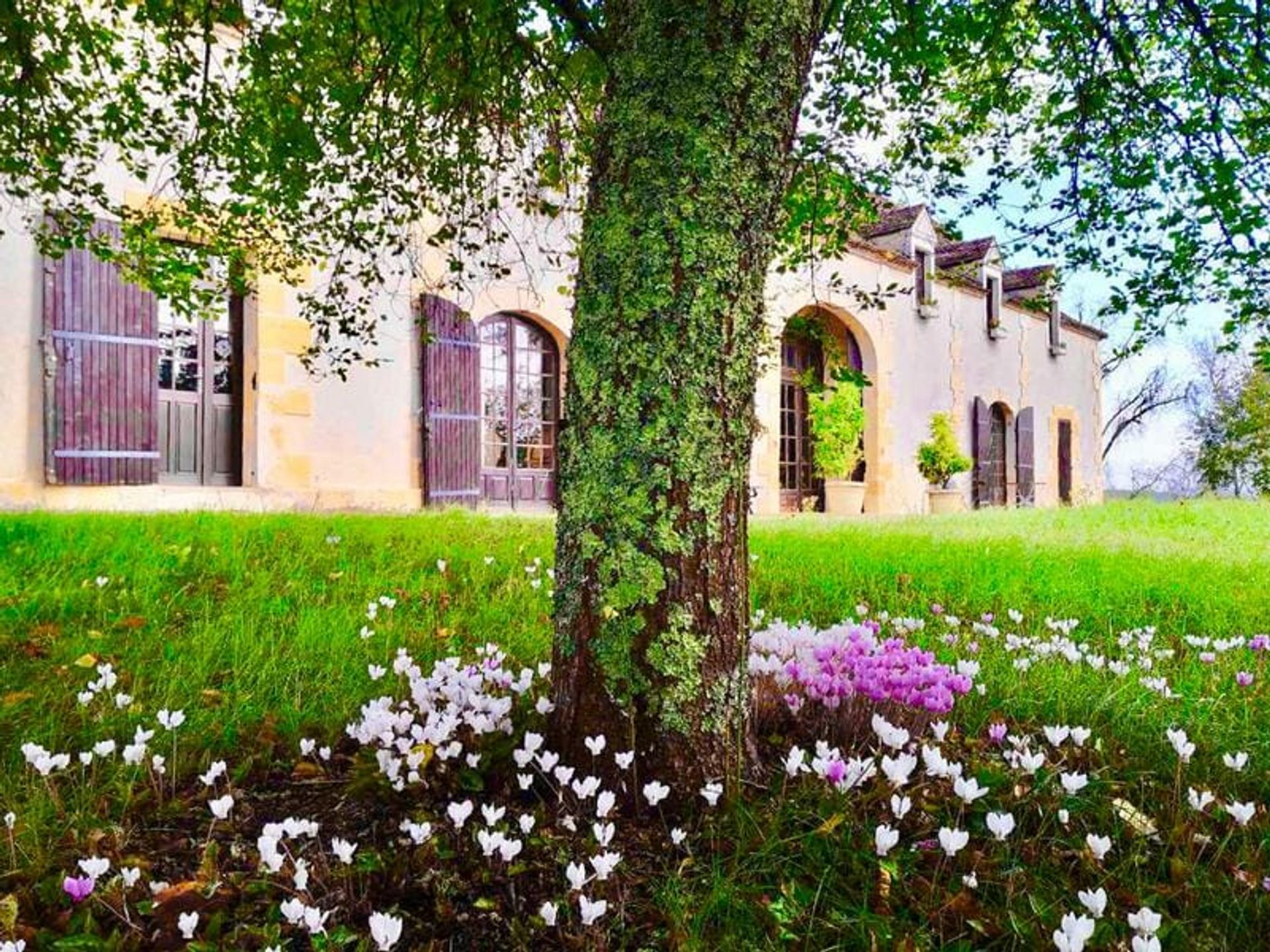 Casa nel Soulignac, Nouvelle-Aquitaine 10100686