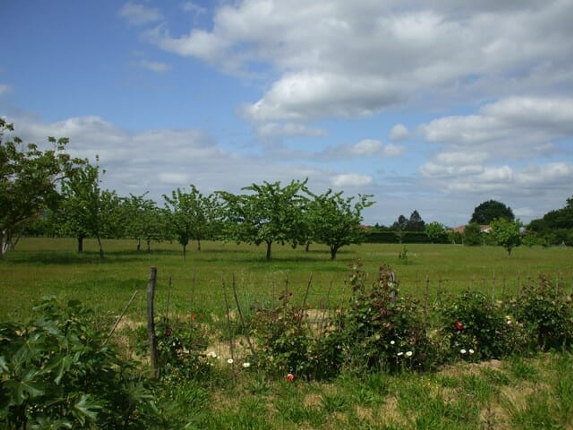 Talo sisään Villeneuve Sur Lot, Aquitaine 10100782