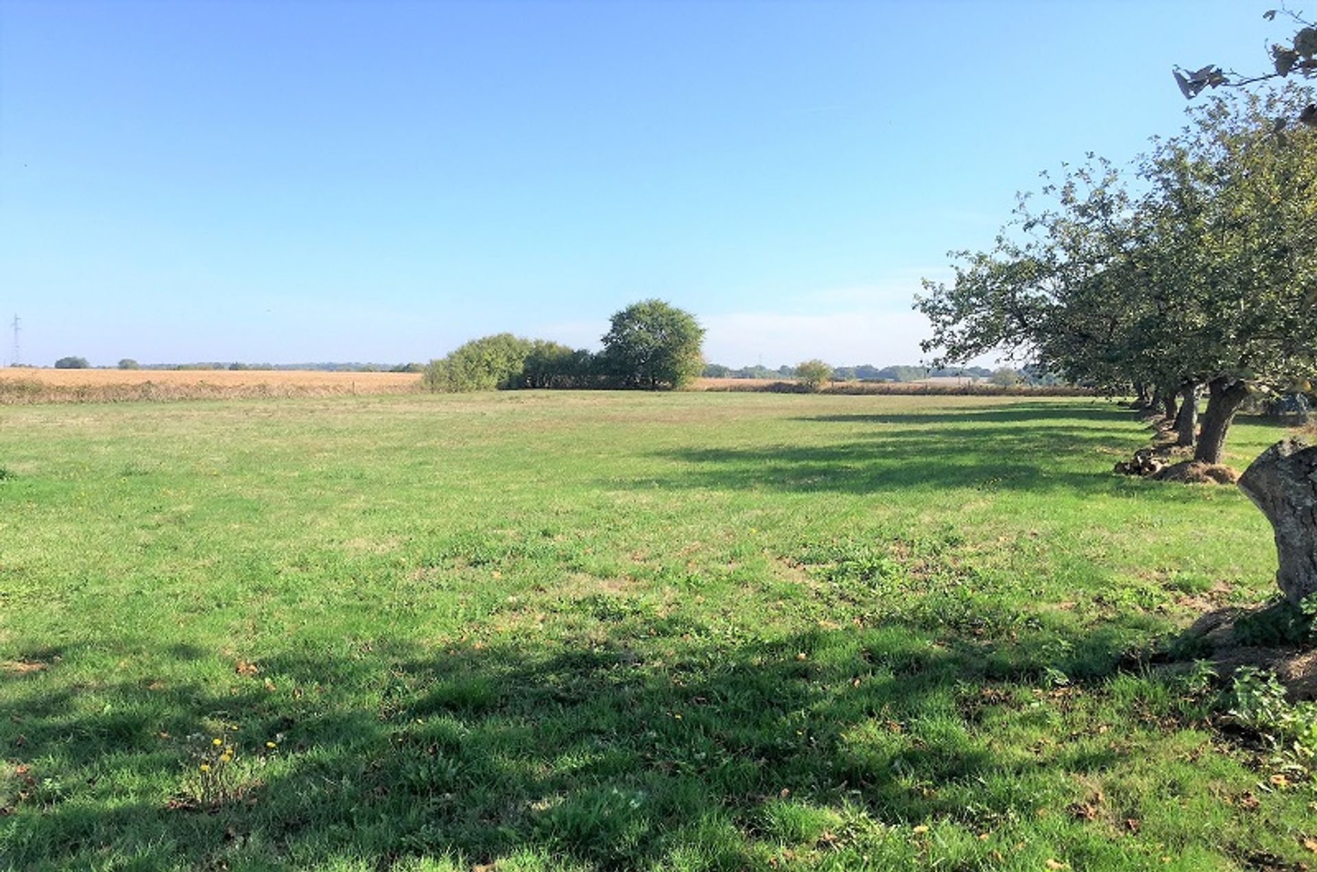 Tanah dalam Barro, Poitou-Charentes 10100807