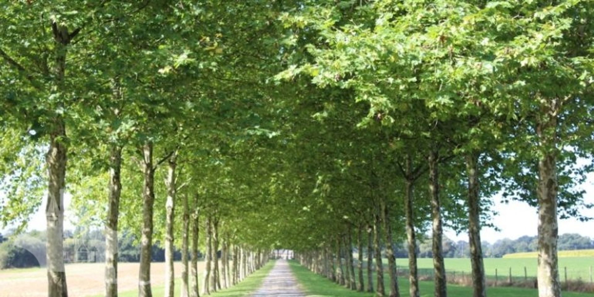 Otro en Laval, Pays de la Loire 10100998