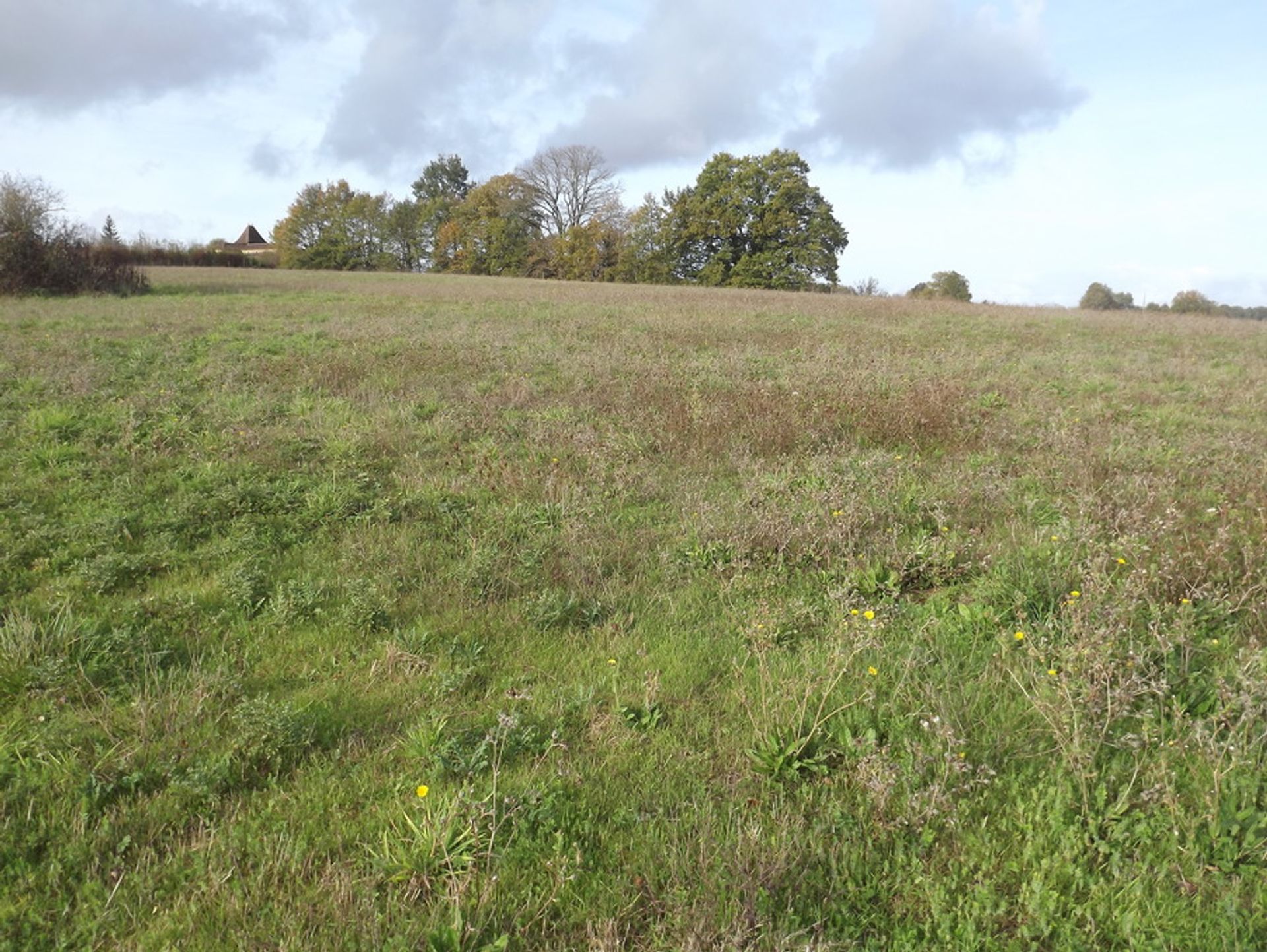 Land im Monpazier, Nouvelle-Aquitaine 10101028