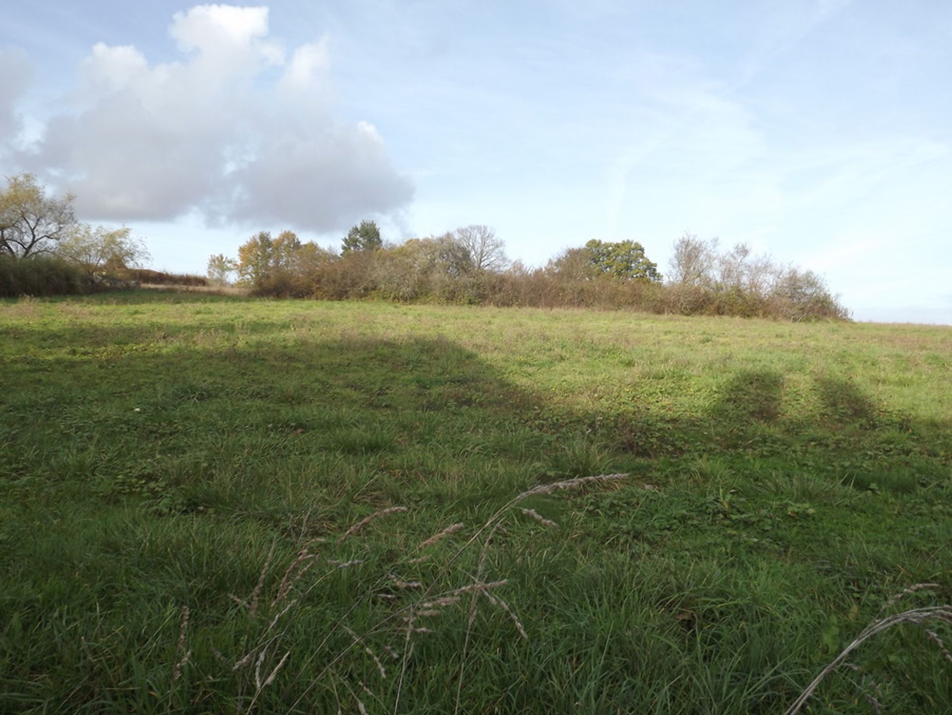 Land i Monpazier, Nouvelle-Aquitaine 10101028