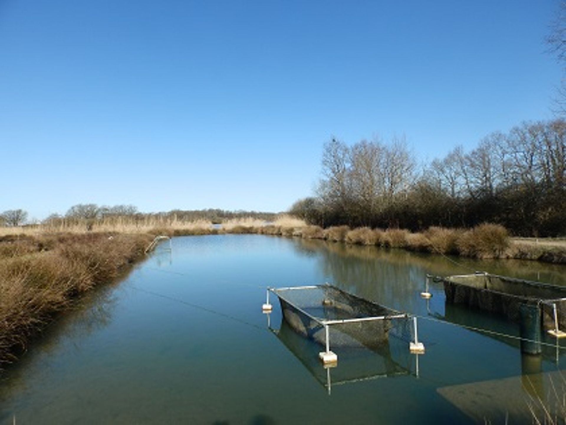 工業的 在 l'Ars, Poitou-Charentes 10101046