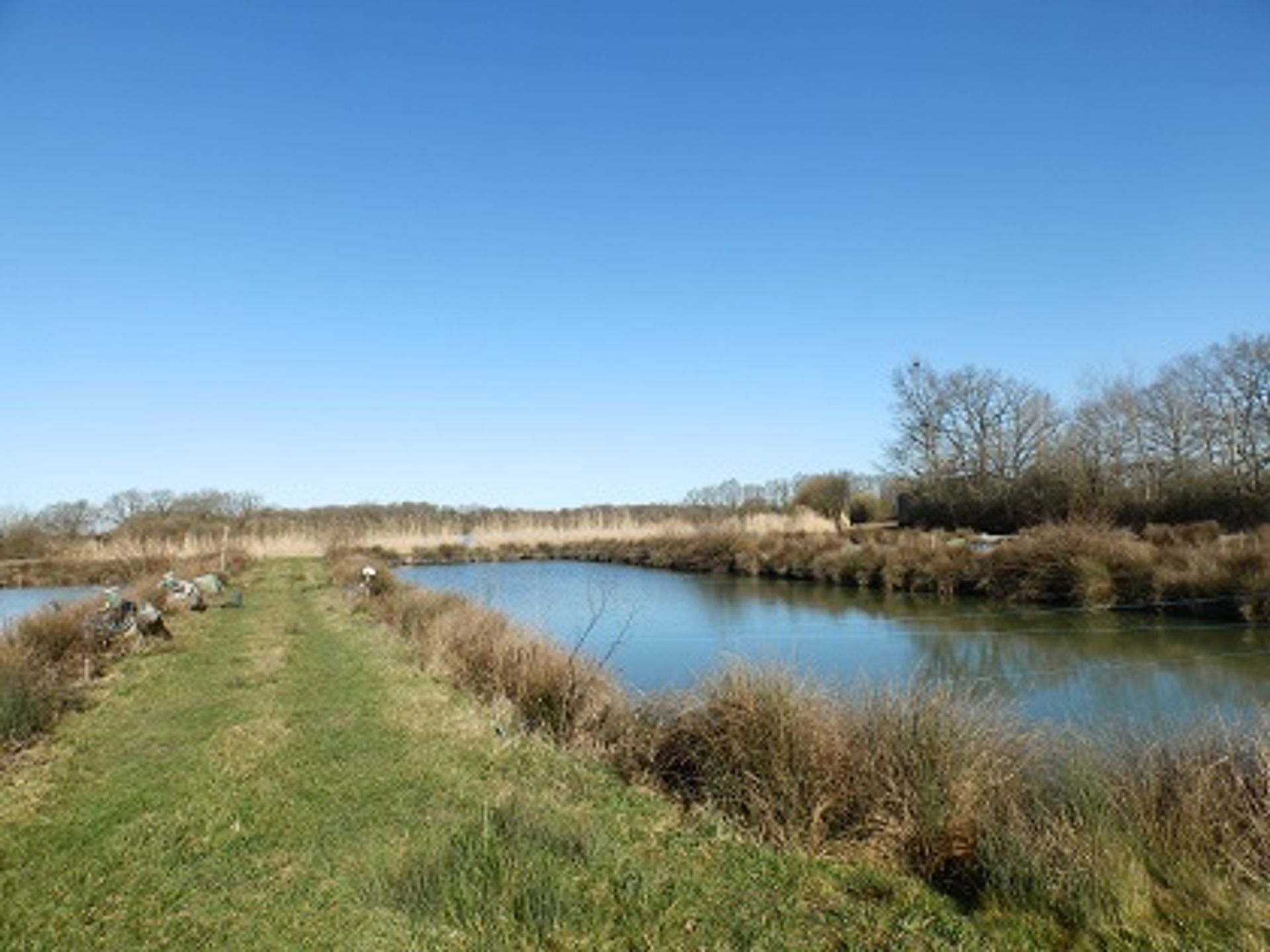 औद्योगिक में l'Ars, Poitou-Charentes 10101046