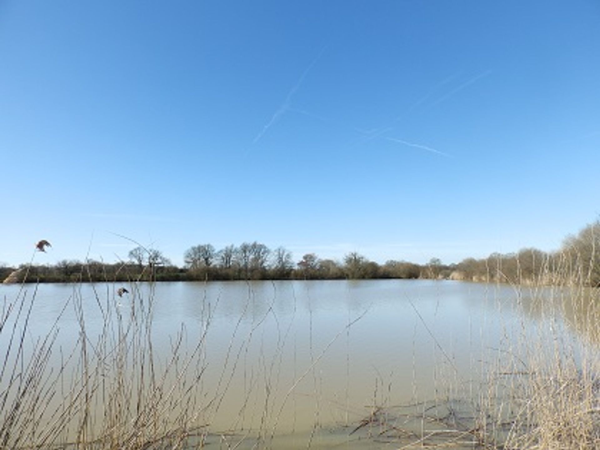 Industriell im l'Ars, Poitou-Charentes 10101046