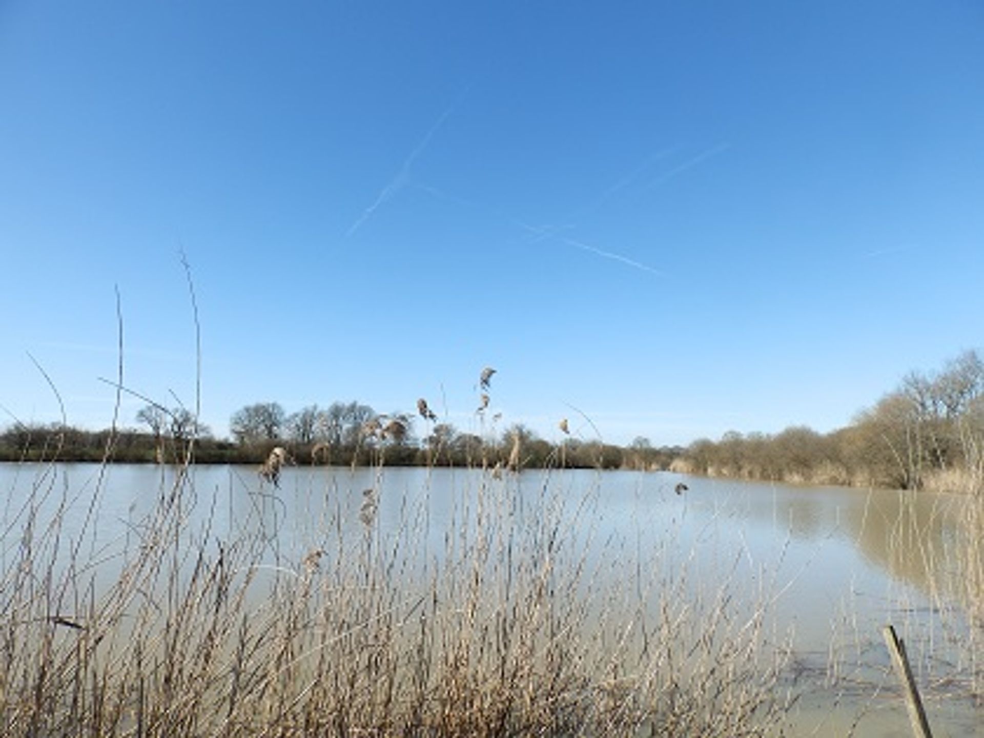 Промислові в l'Ars, Poitou-Charentes 10101046