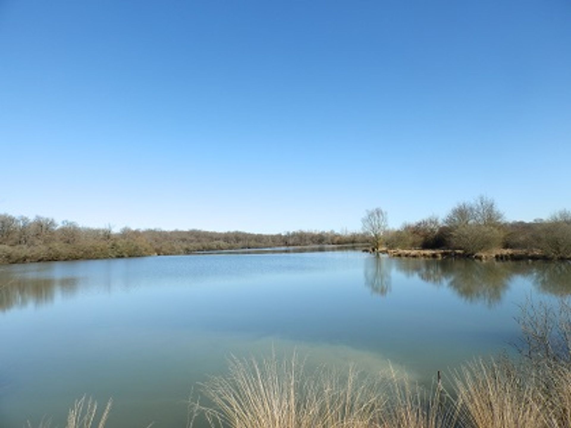 Perindustrian dalam l'Ars, Poitou-Charentes 10101046