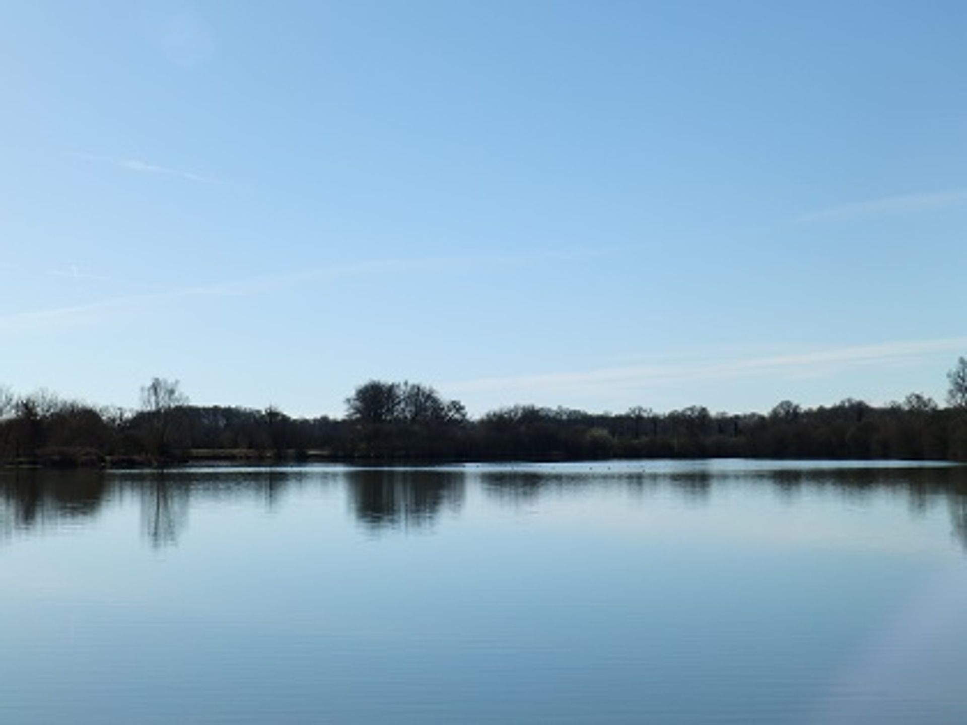 Комерційний в l'Ars, Poitou-Charentes 10101046