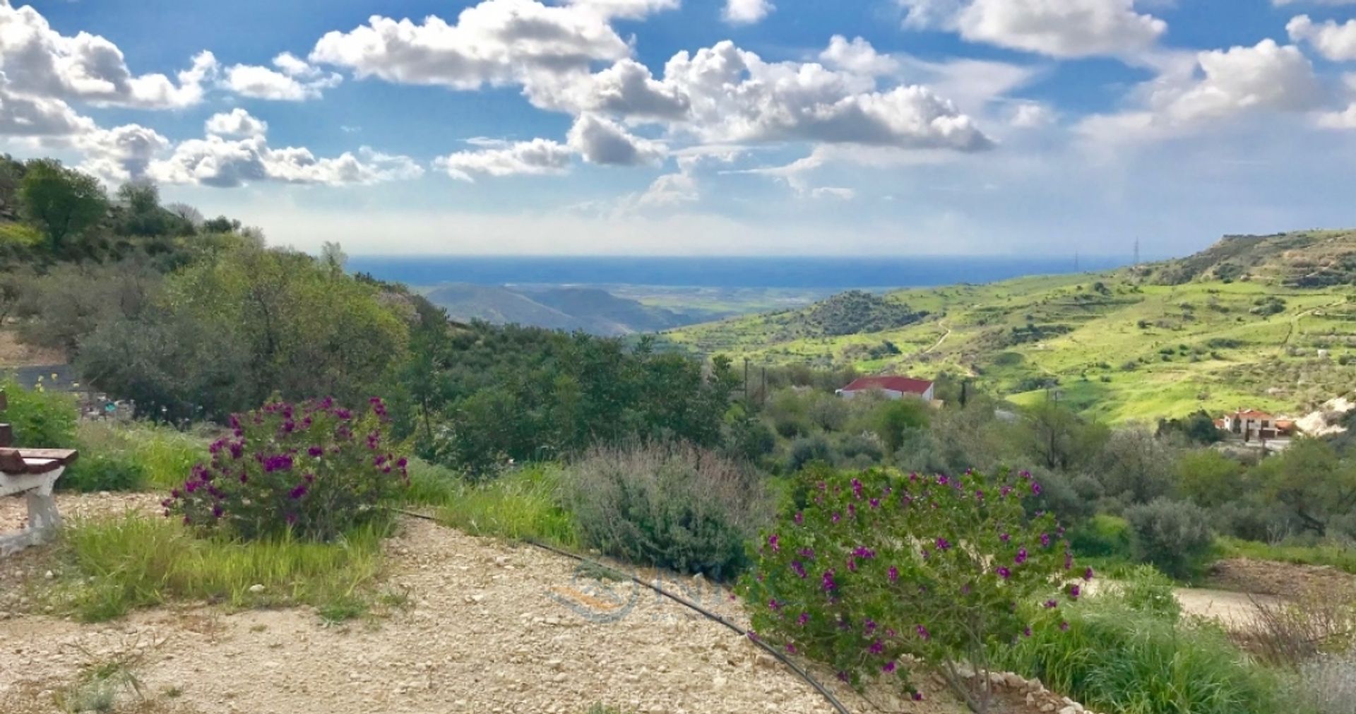 الأرض في Episkopi, Paphos 10101615