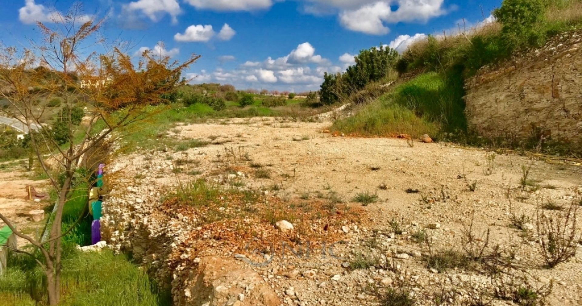 الأرض في Episkopi, Paphos 10101615