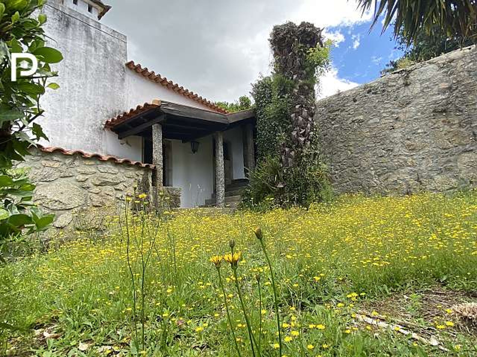 House in Porto, Porto 10101882