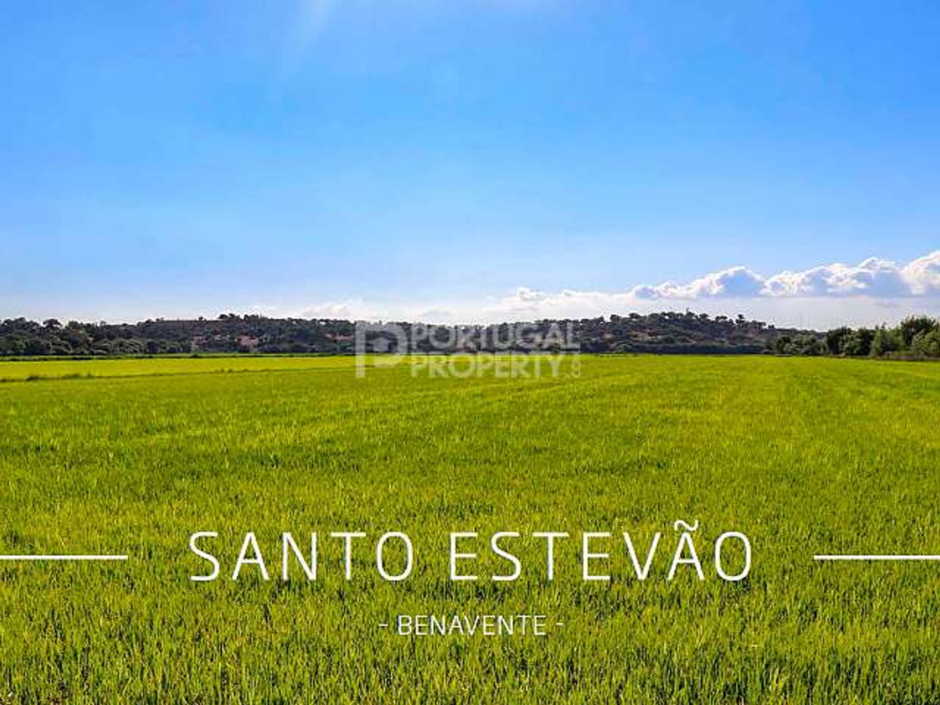 Tierra en Casais da Besteira, Santarém 10101909