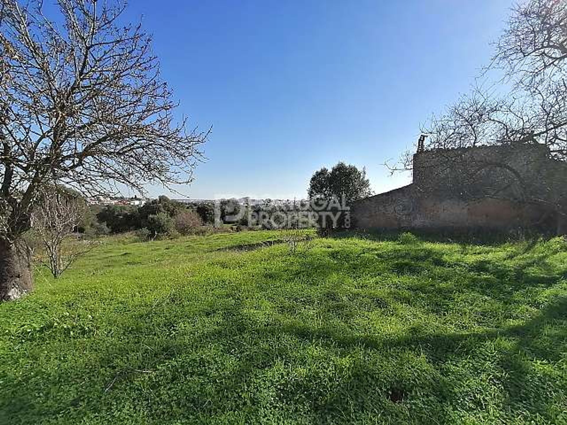 Tanah dalam Portimao, Faro 10101962