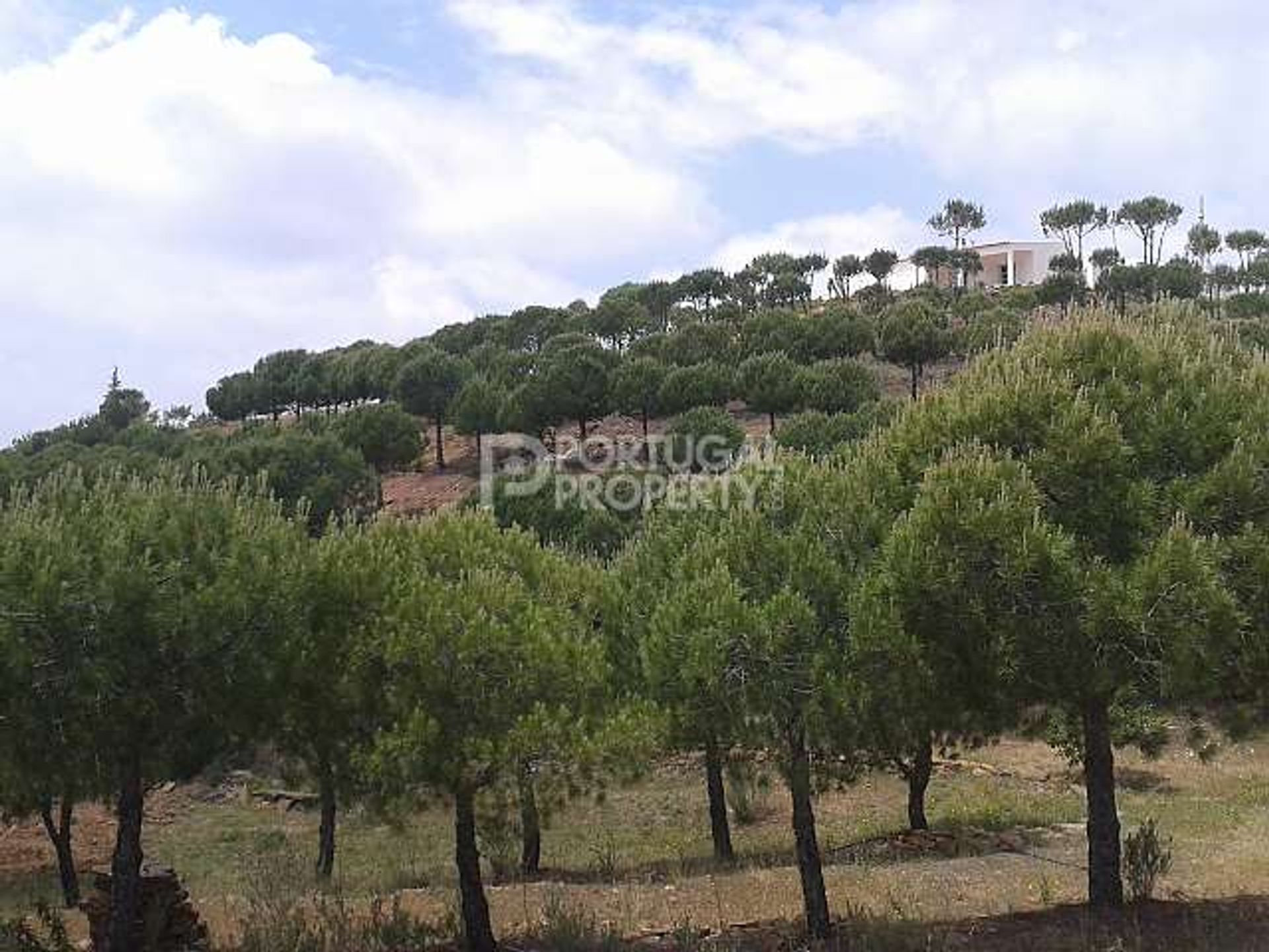 Hus i Tavira, Algarve 10101993