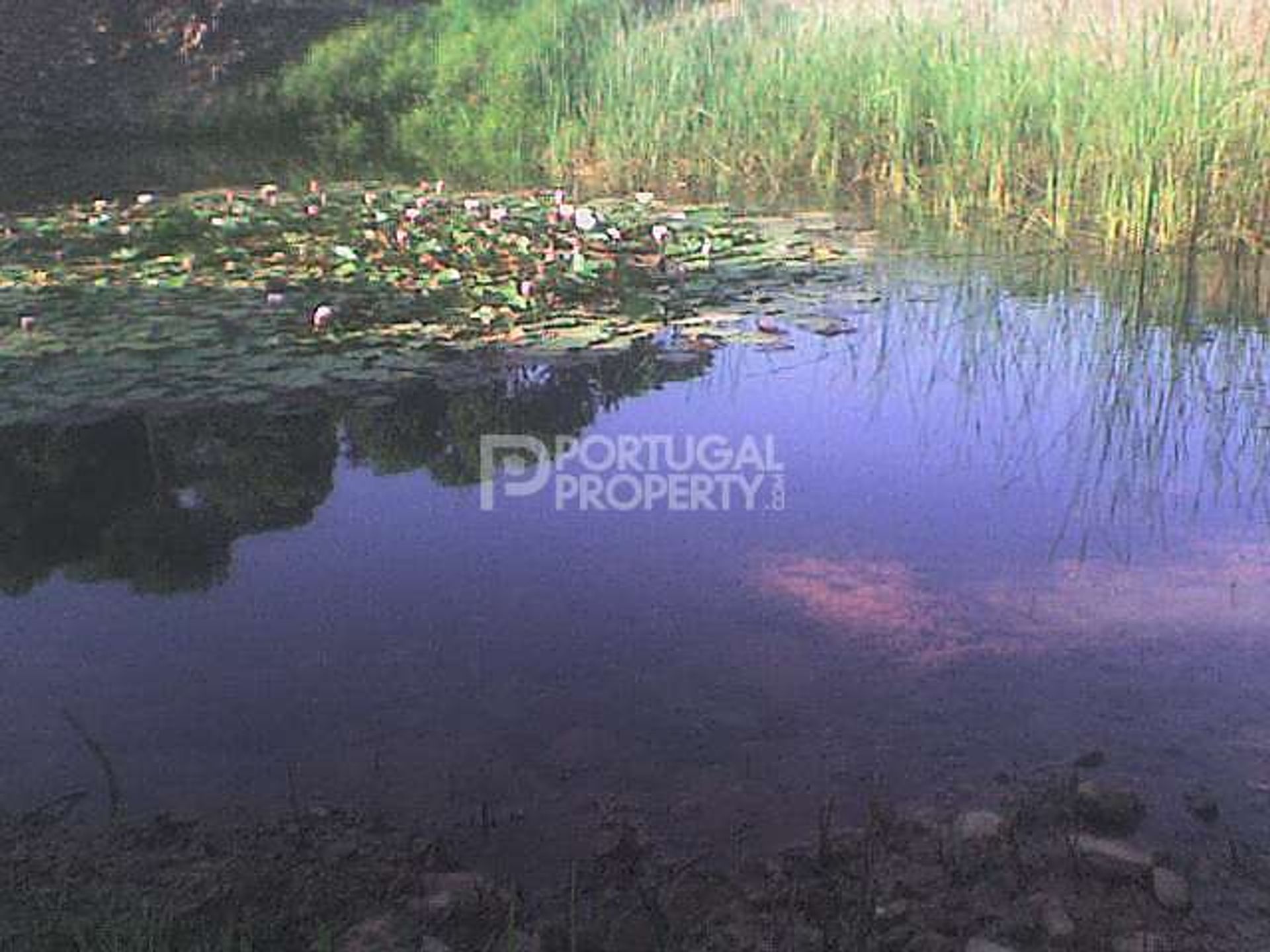 Hus i Tavira, Algarve 10101993