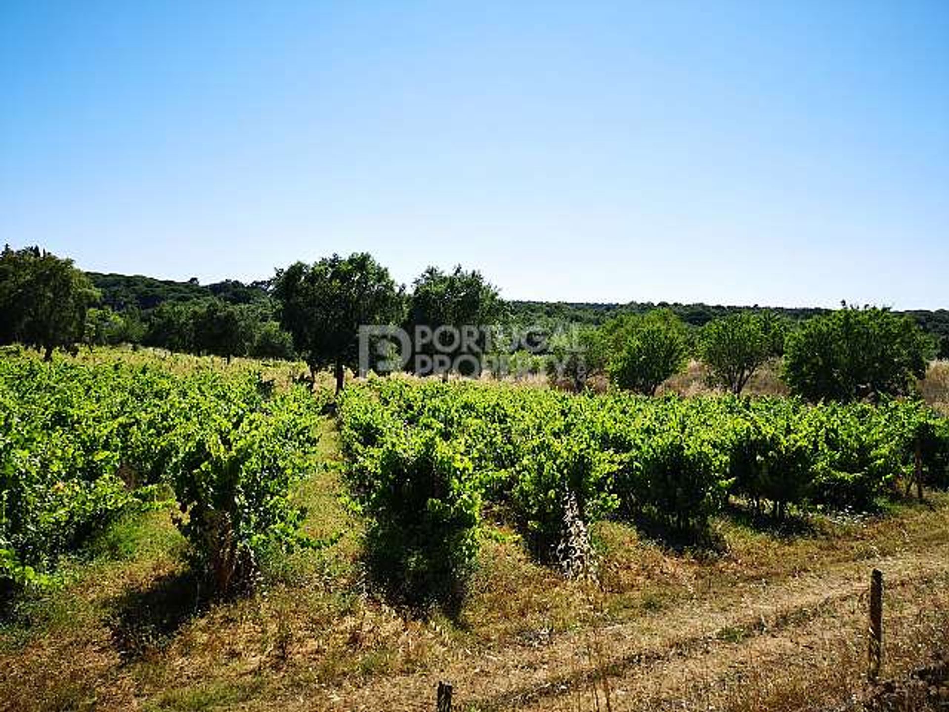 Land in Vila Nogueira de Azeitao, Setubal 10102114