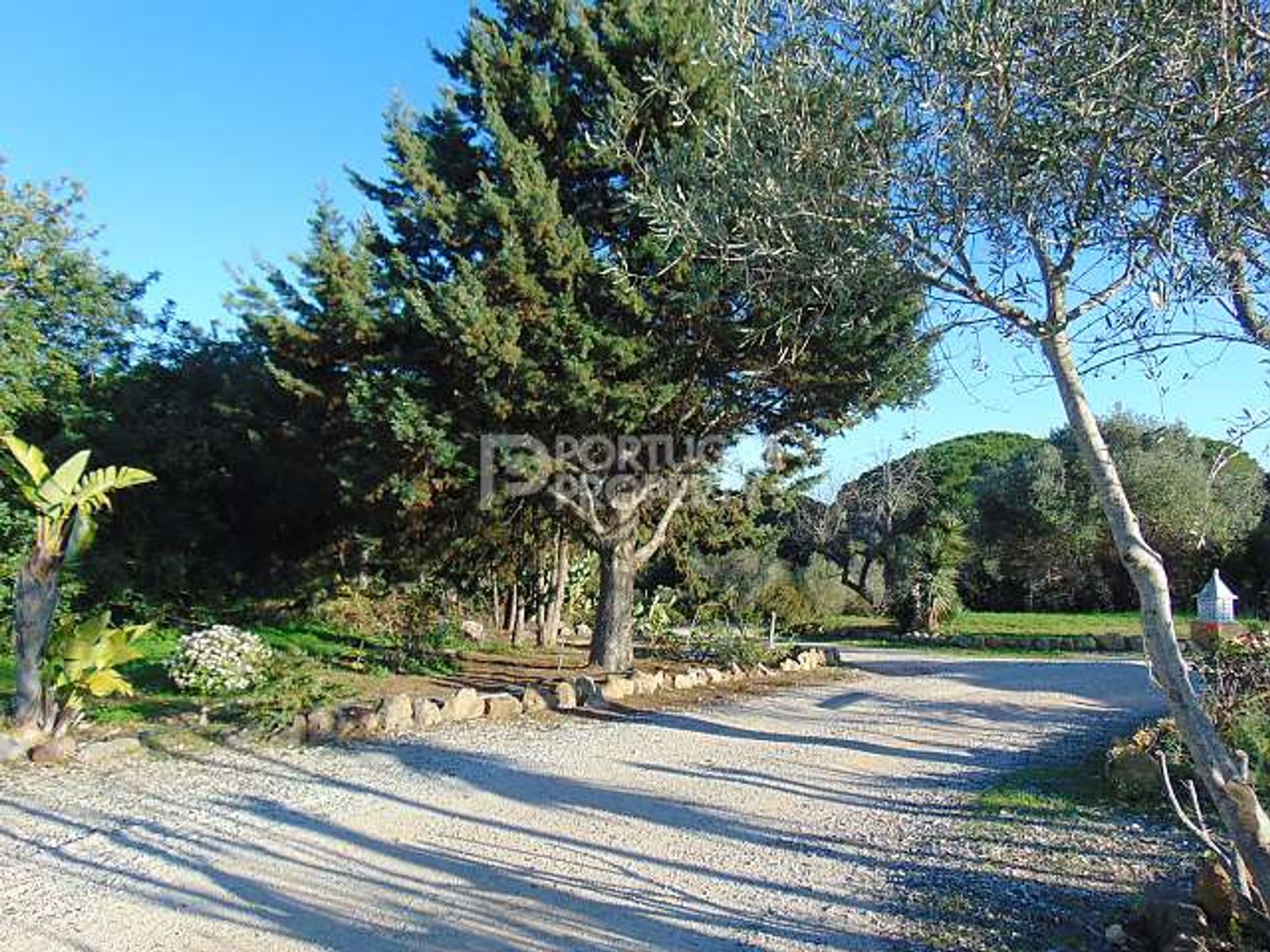 土地 在 Porches, Algarve 10102234