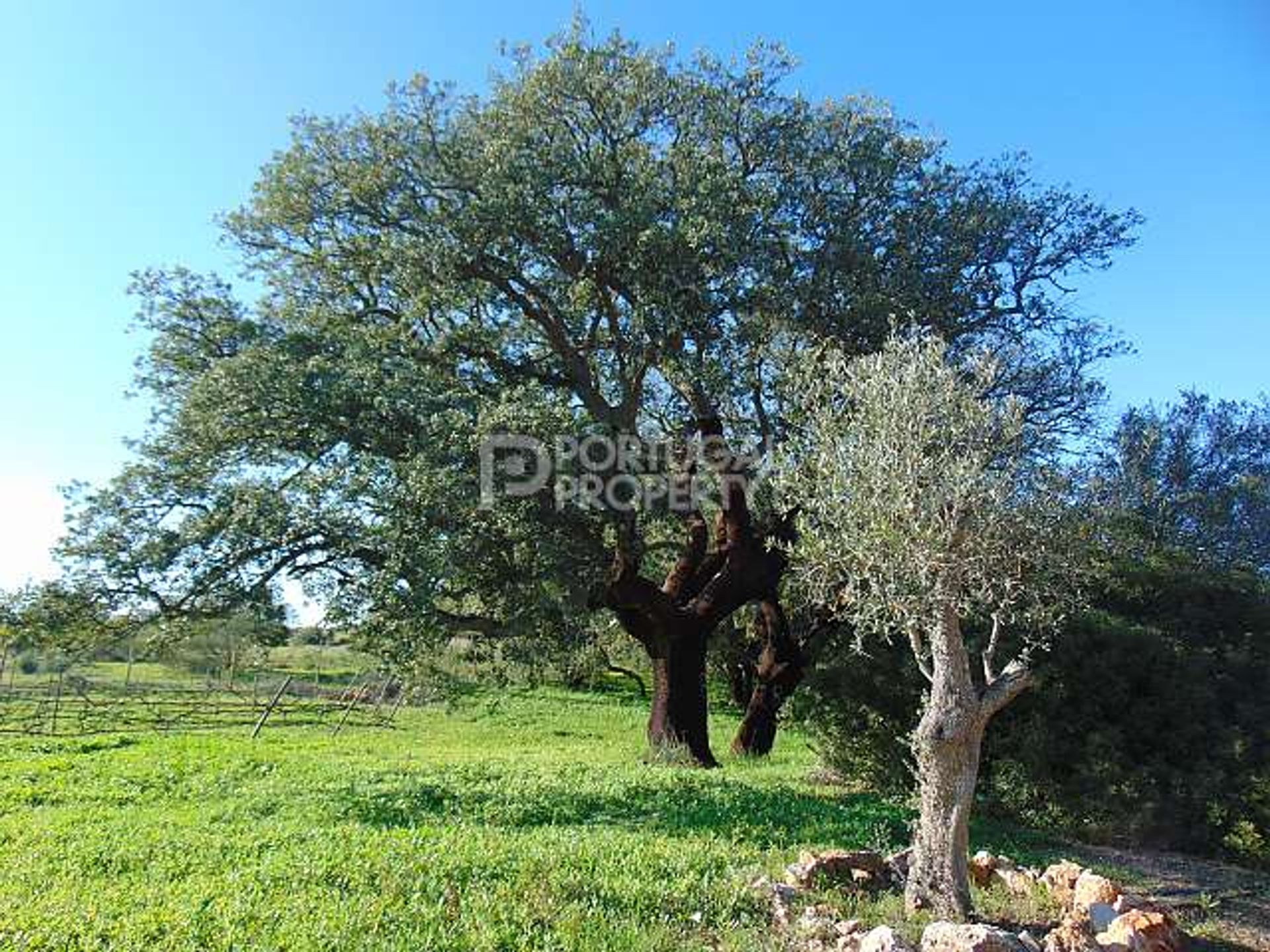 Land in Porches, Faro 10102234