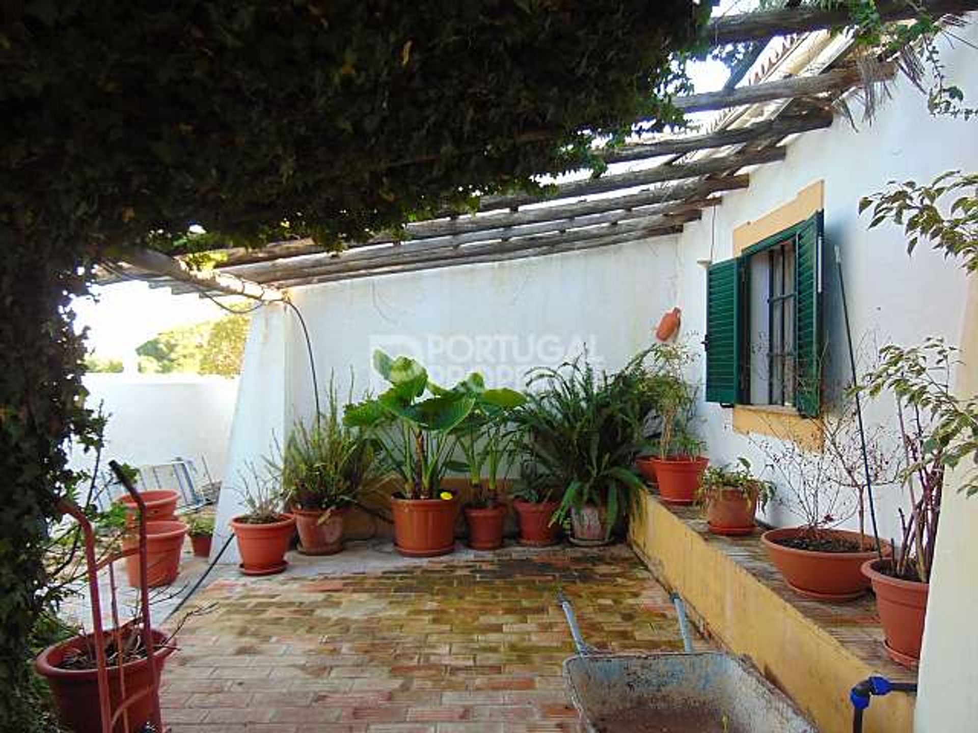 土地 在 Porches, Algarve 10102234