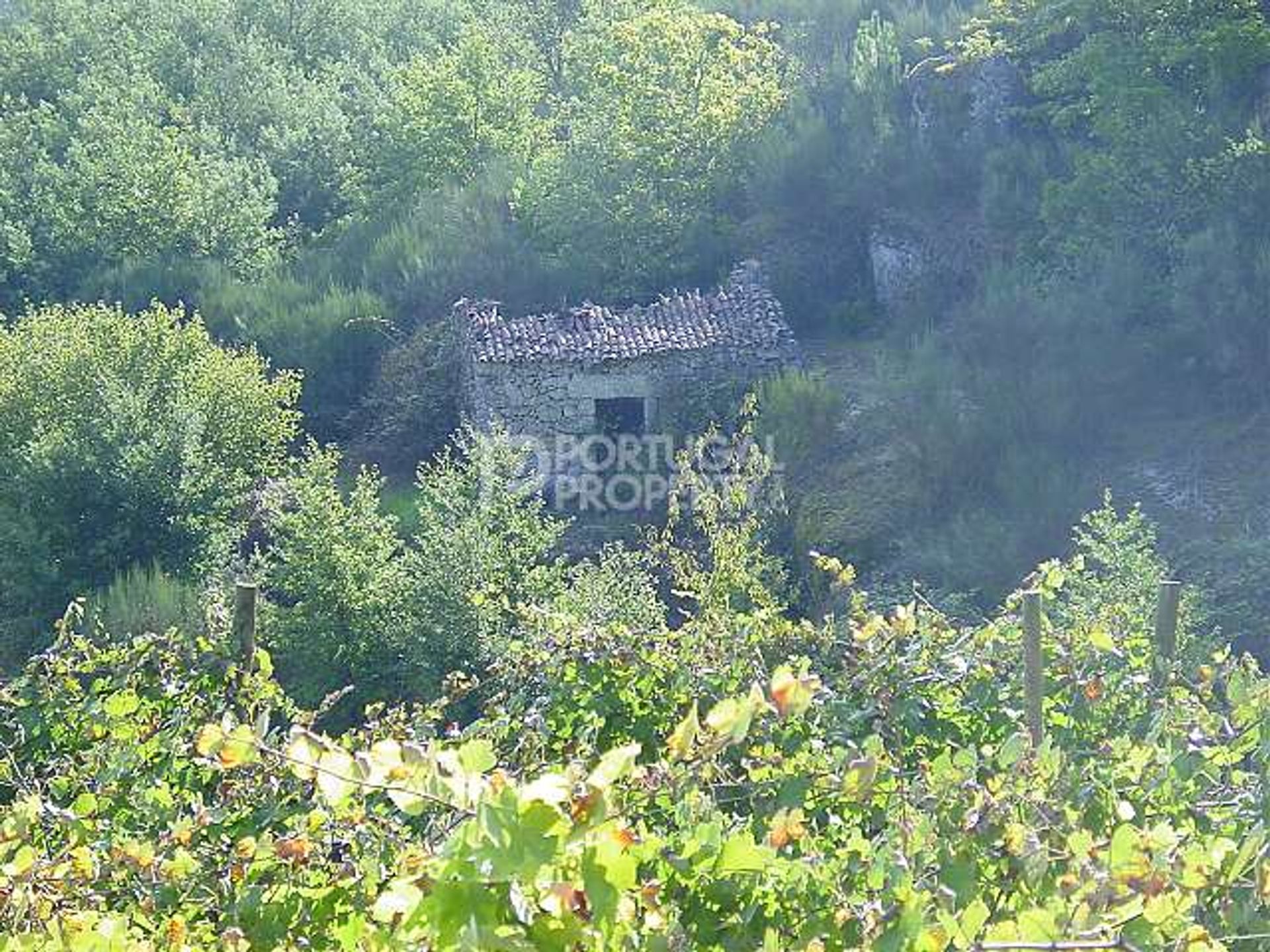 rumah dalam Beira-Alta, Northern Portugal 10102348