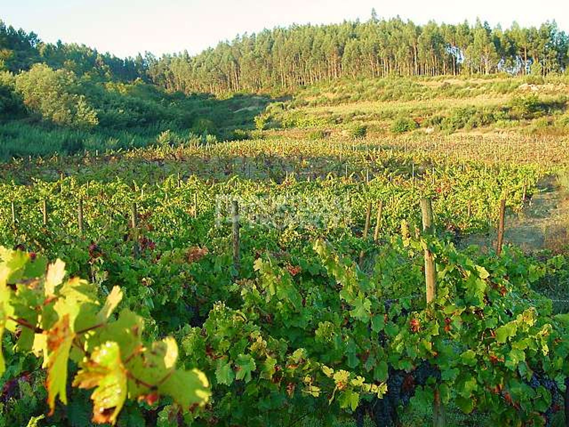 casa en Beira-Alta, Northern Portugal 10102348