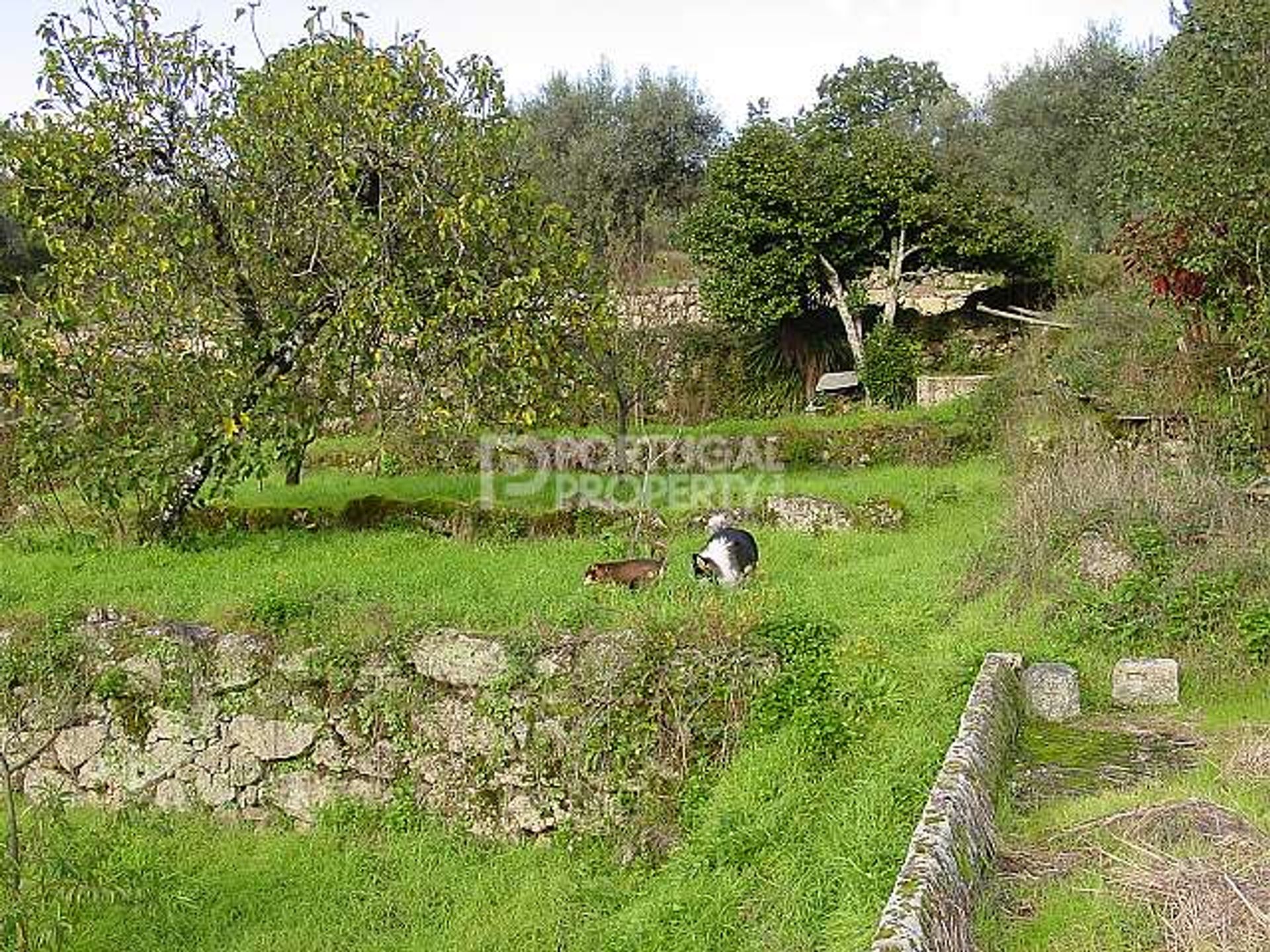 casa en Beira-Alta, Northern Portugal 10102348