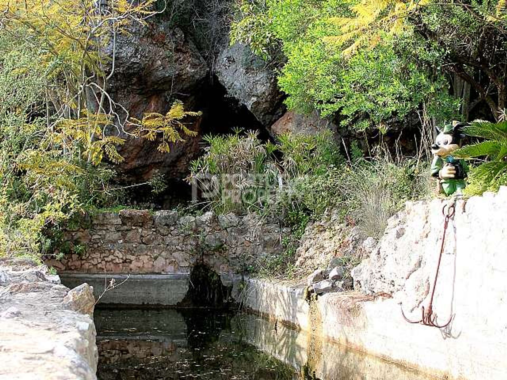 Будинок в Sao Bartolomeu De Messines, Algarve 10102392