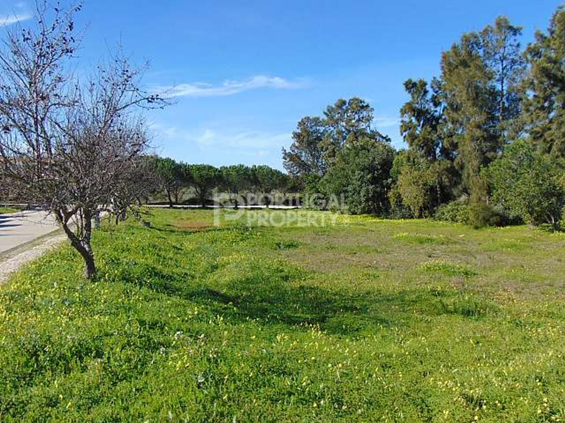 Rumah di Burgau, Algarve 10102434