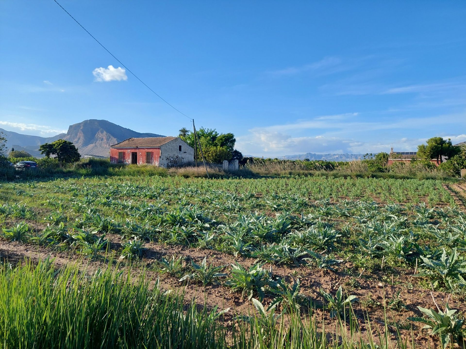 casa no Orihuela, Valência 10102514