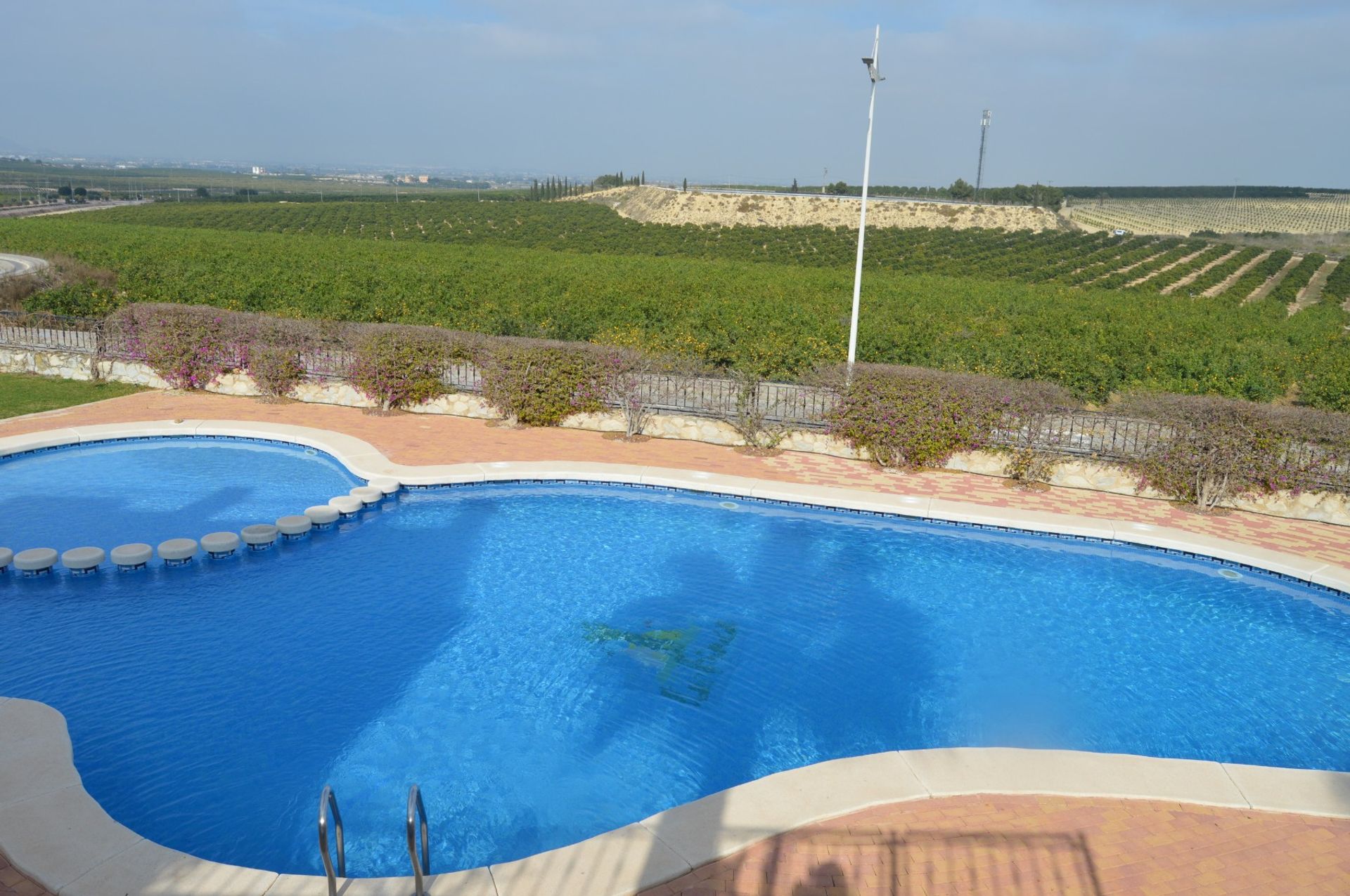 Condominio nel La Finca Golf,  10102523