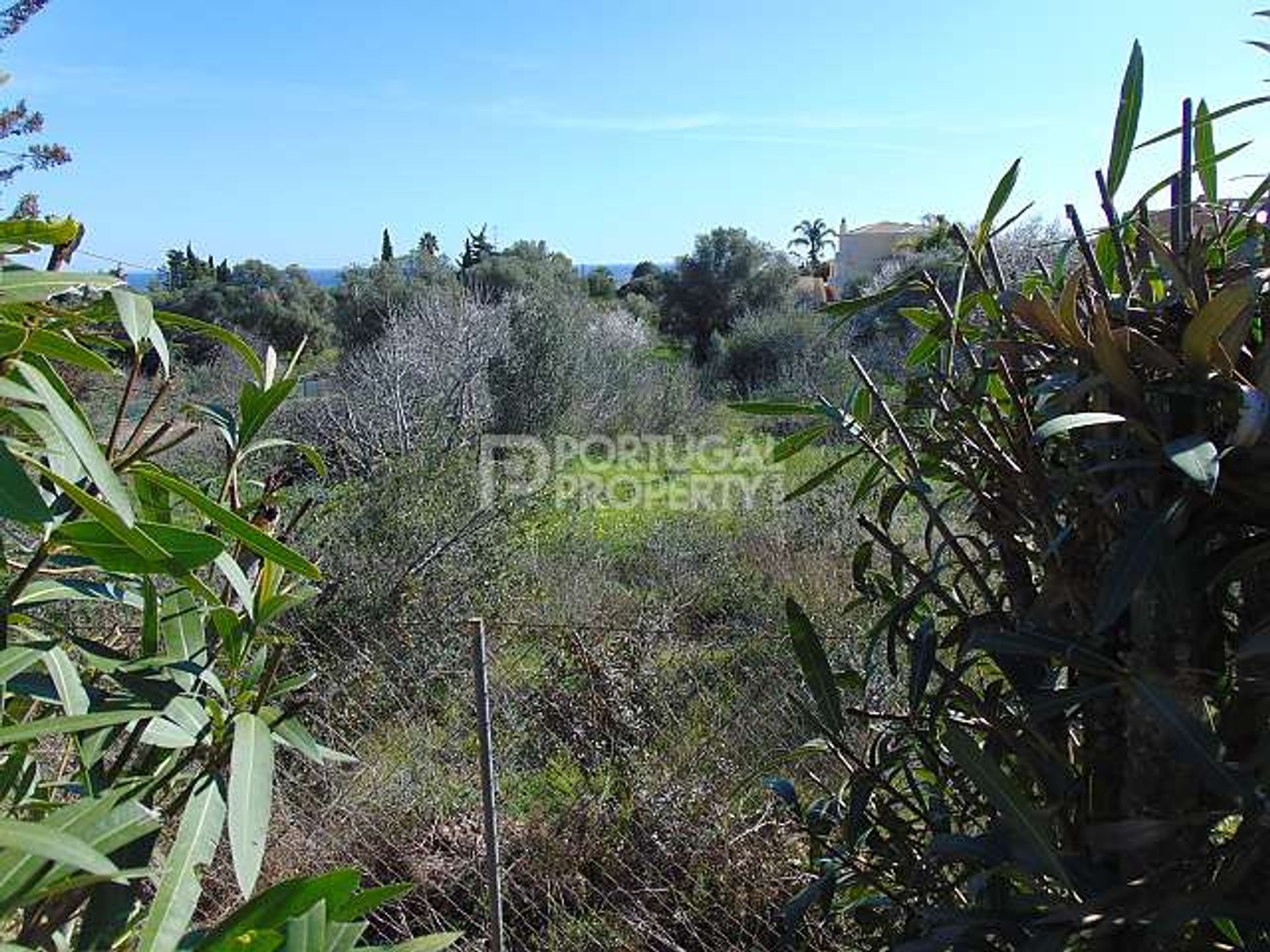 Land in Lagos, Algarve 10102532