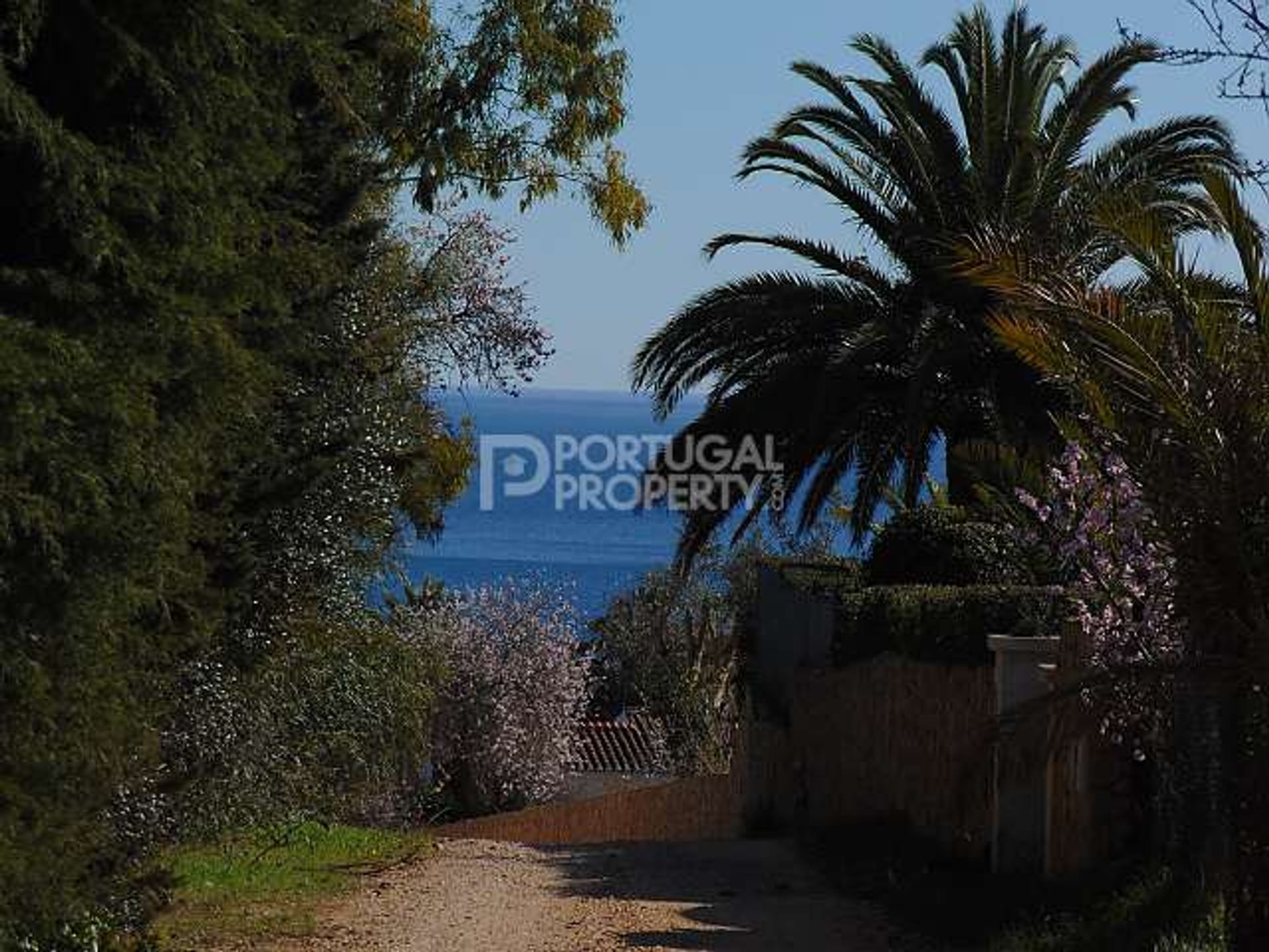 Land in Lagos, Algarve 10102532