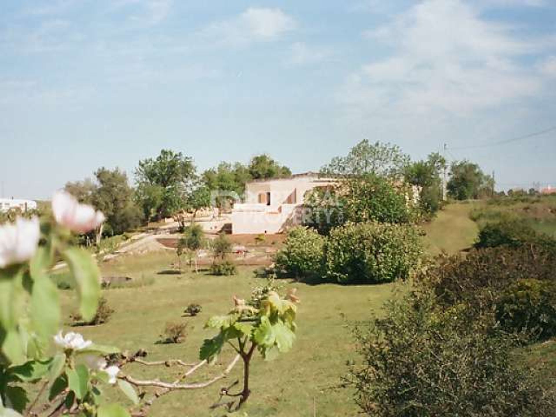 Другой в Lagos, Algarve 10102535