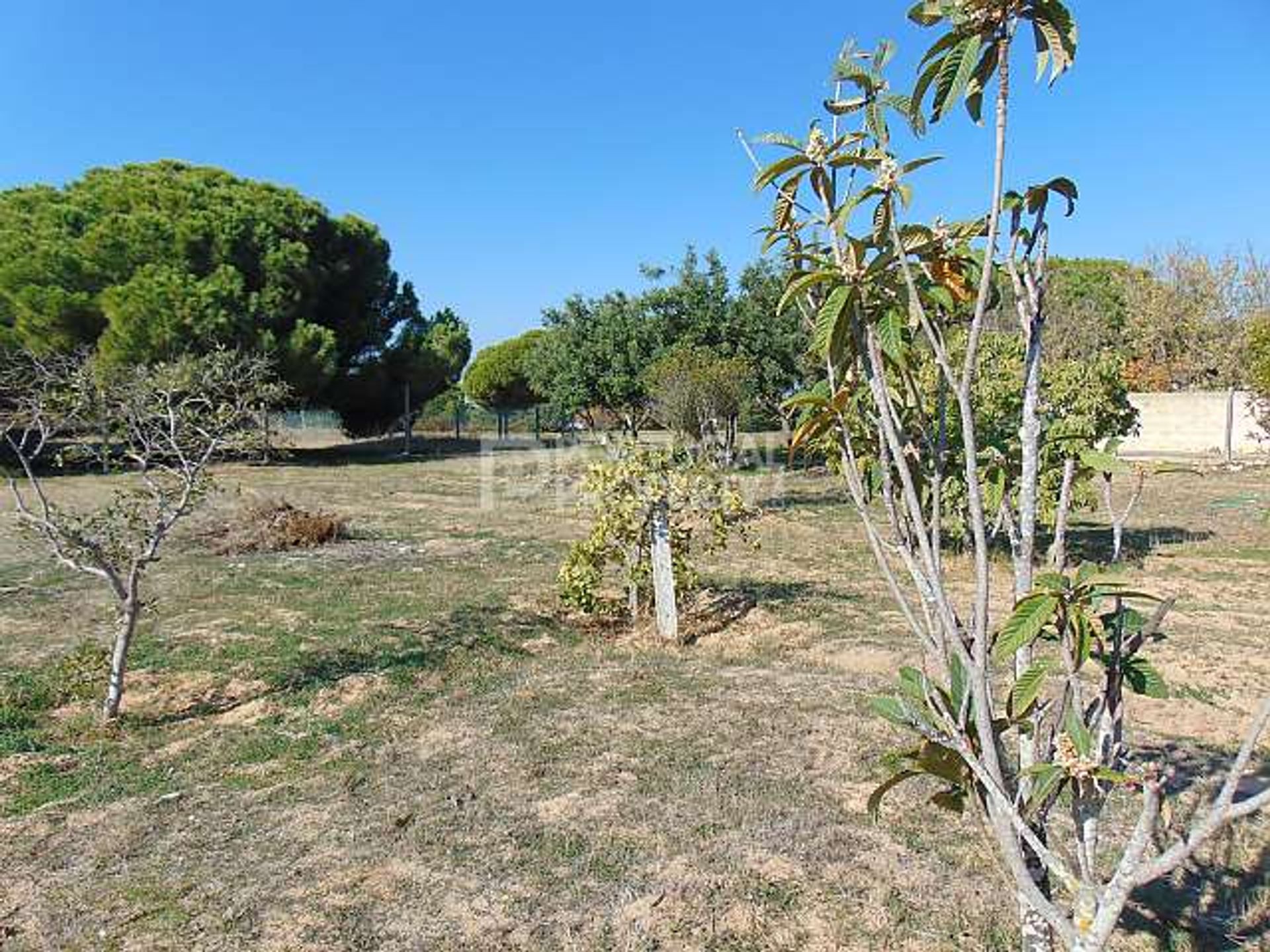 casa no Caramujeira, Algarve 10102548