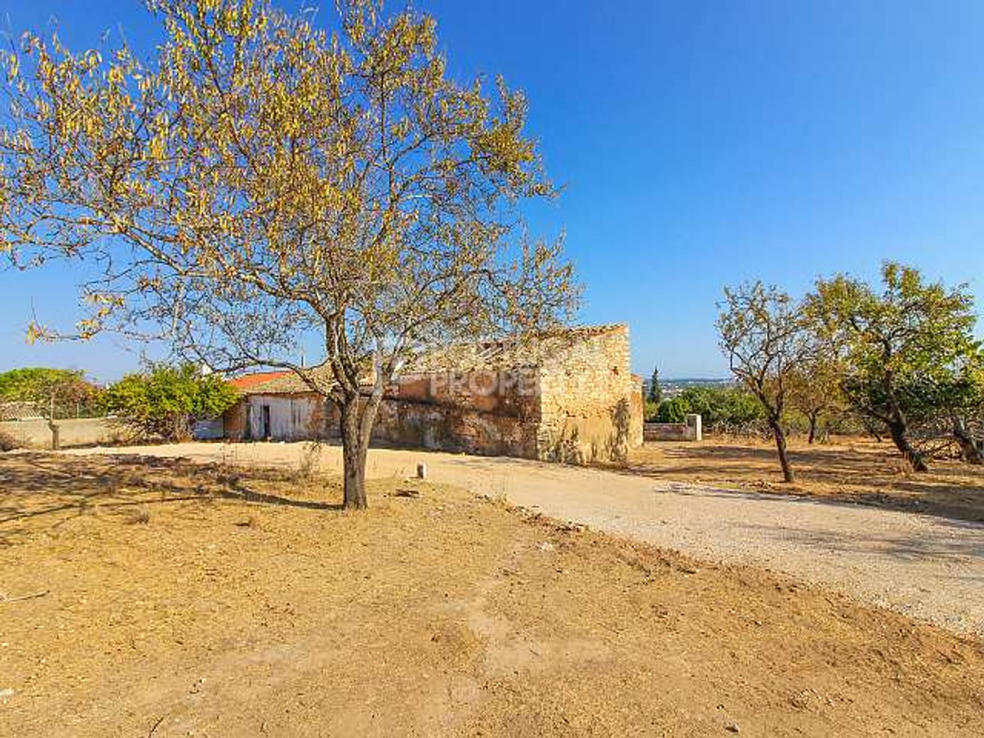 Land in Fonte de Boliqueime, Faro 10102555