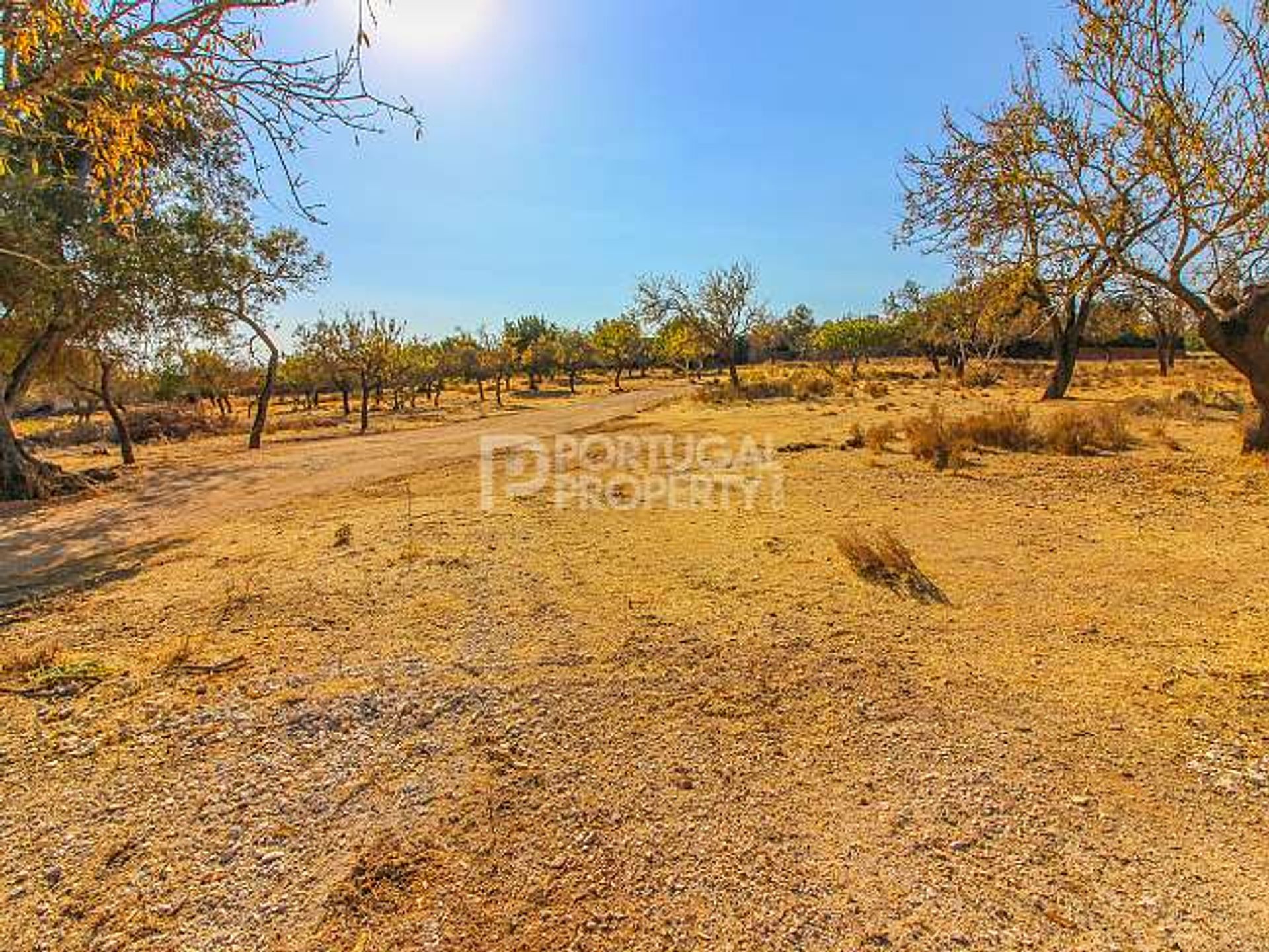 Land i Fonte de Boliqueime, Faro 10102555