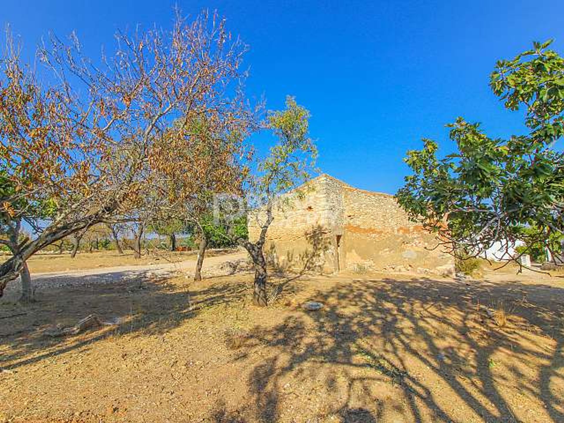 Land in Fonte de Boliqueime, Faro 10102555