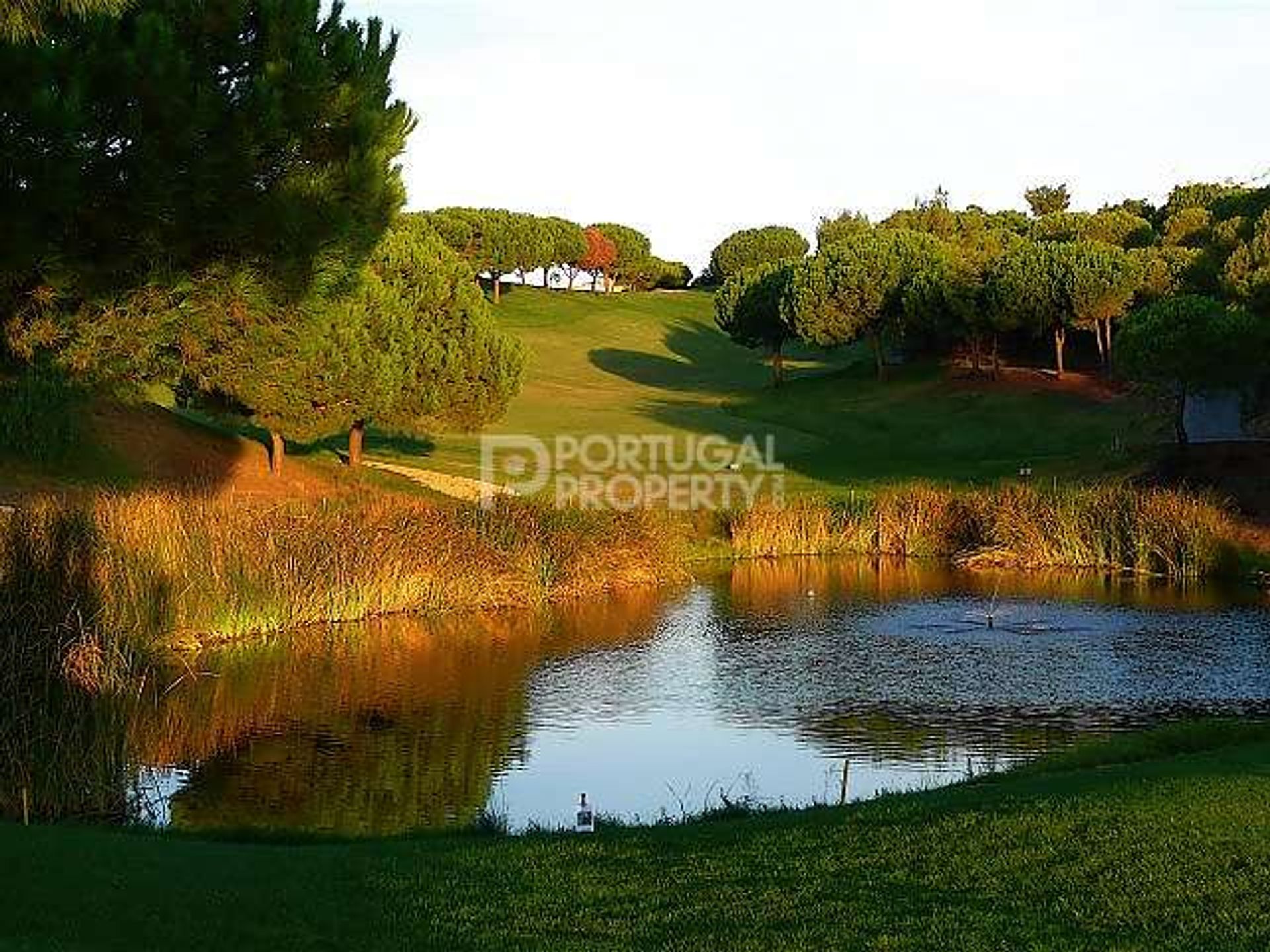 Terre dans Castro Marim, Algarve 10102603