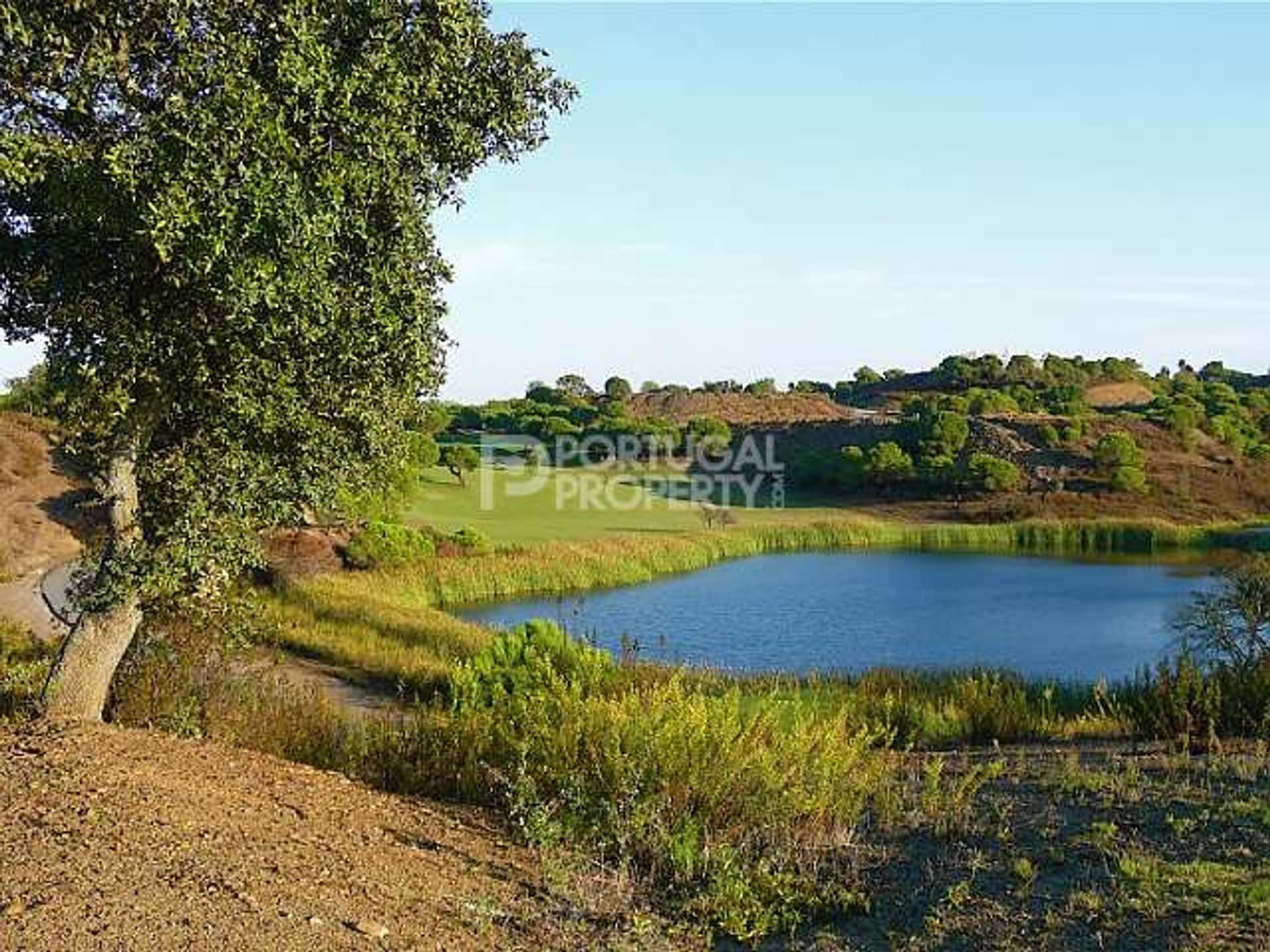 Terre dans Castro Marim, Algarve 10102603