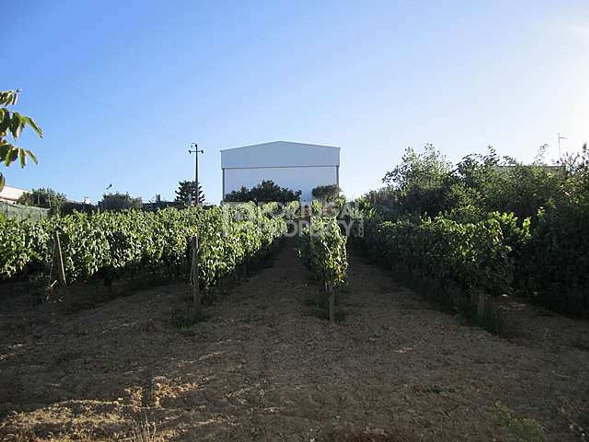 rumah dalam Setubal Peninsula, Lisbon 10102633